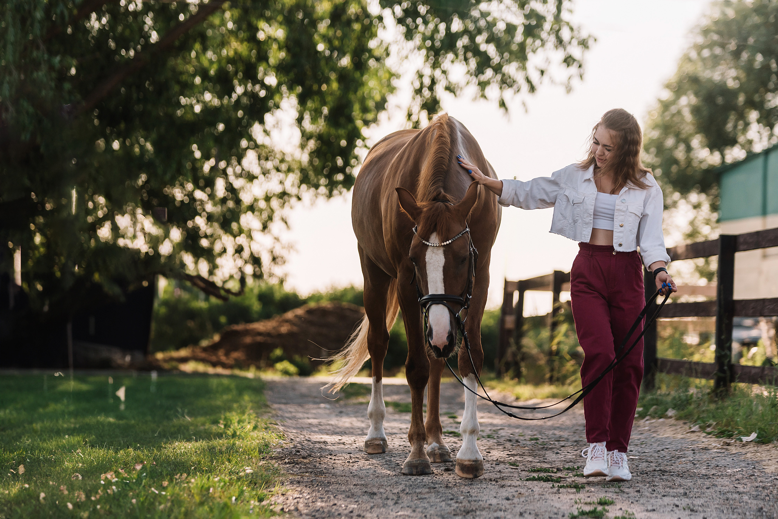 Фотосессии с лошадьми. Фотограф Рязань