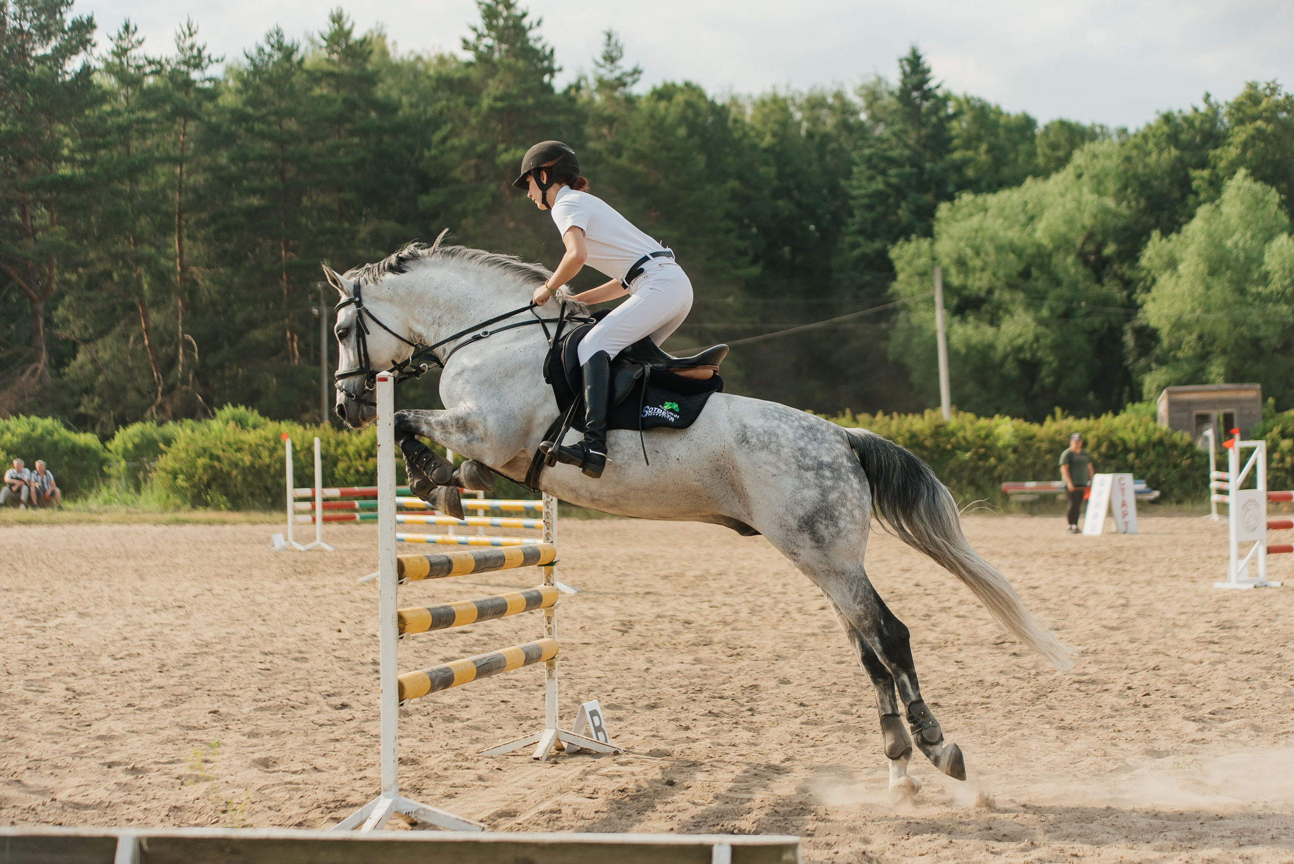 ВНИИК 17.06.2023. Кубок Евпатия Коловрата. Конкур. Фотограф Рязань