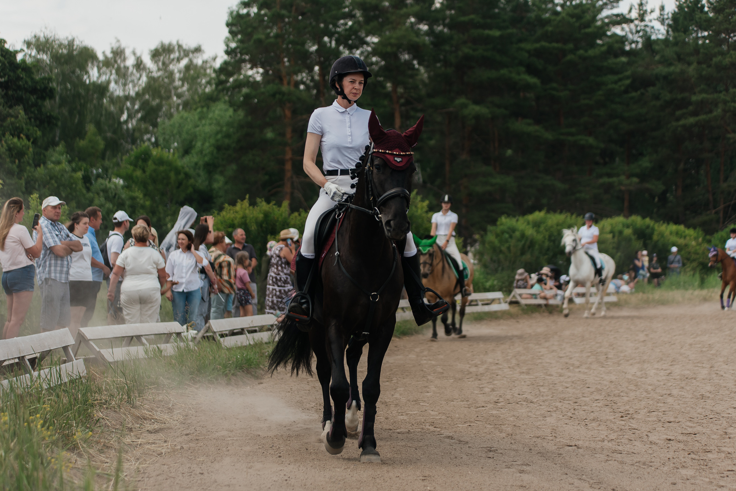 ВНИИК 17.06.2023. Кубок Евпатия Коловрата. Конкур. Фотограф Рязань