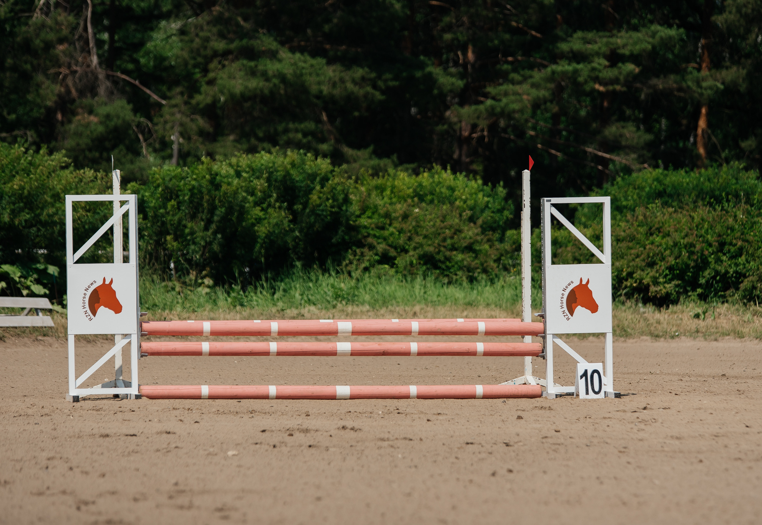 ВНИИК 17.06.2023. Кубок Евпатия Коловрата. Конкур. Фотограф Рязань