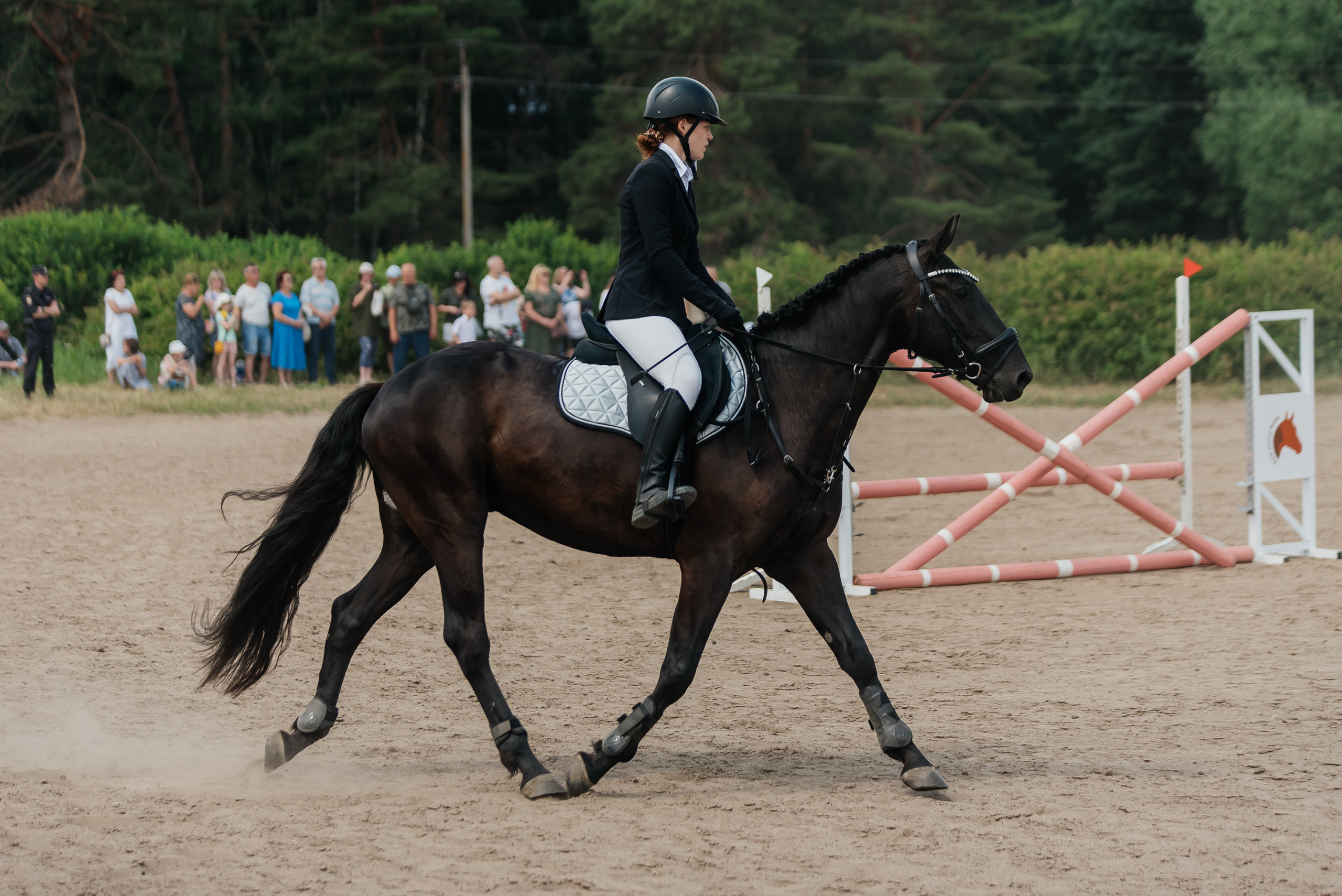 ВНИИК 17.06.2023. Кубок Евпатия Коловрата. Конкур. Фотограф Рязань