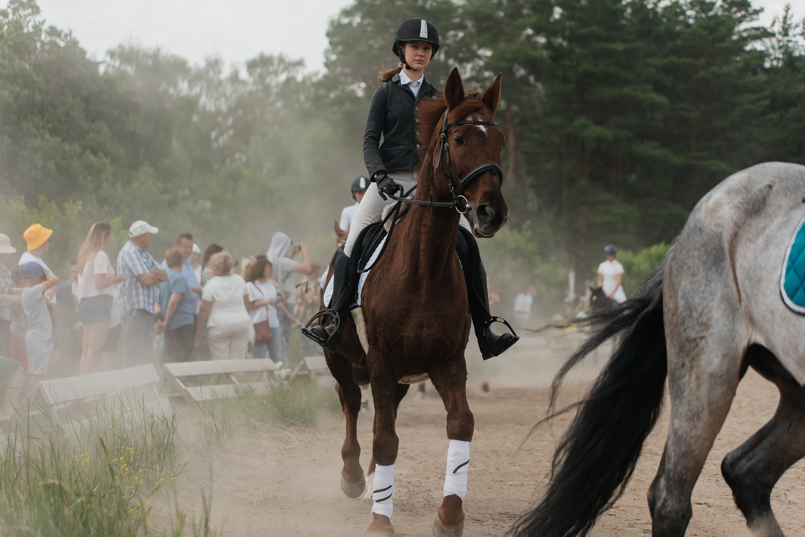 ВНИИК 17.06.2023. Кубок Евпатия Коловрата. Конкур. Фотограф Рязань