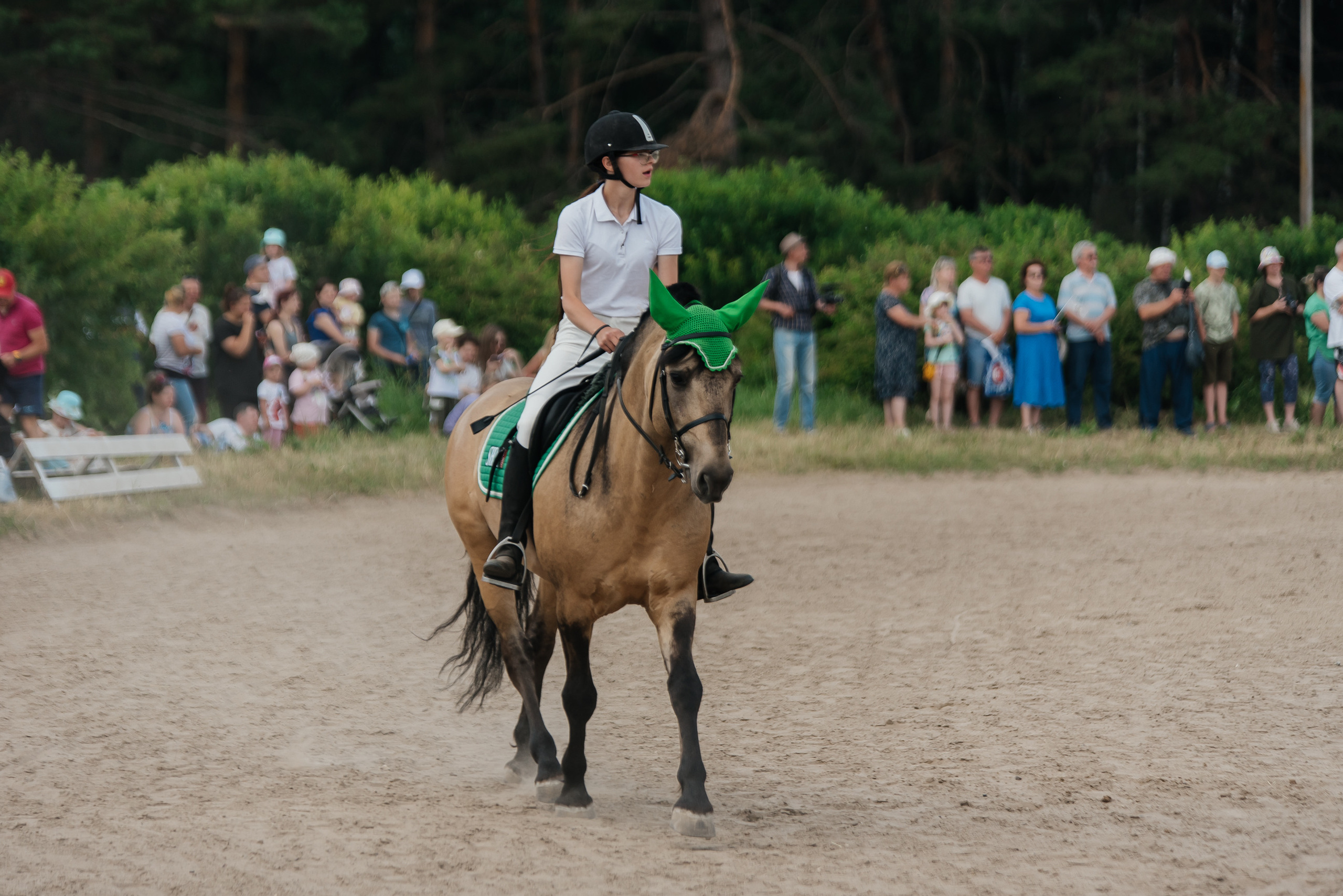 ВНИИК 17.06.2023. Кубок Евпатия Коловрата. Конкур. Фотограф Рязань