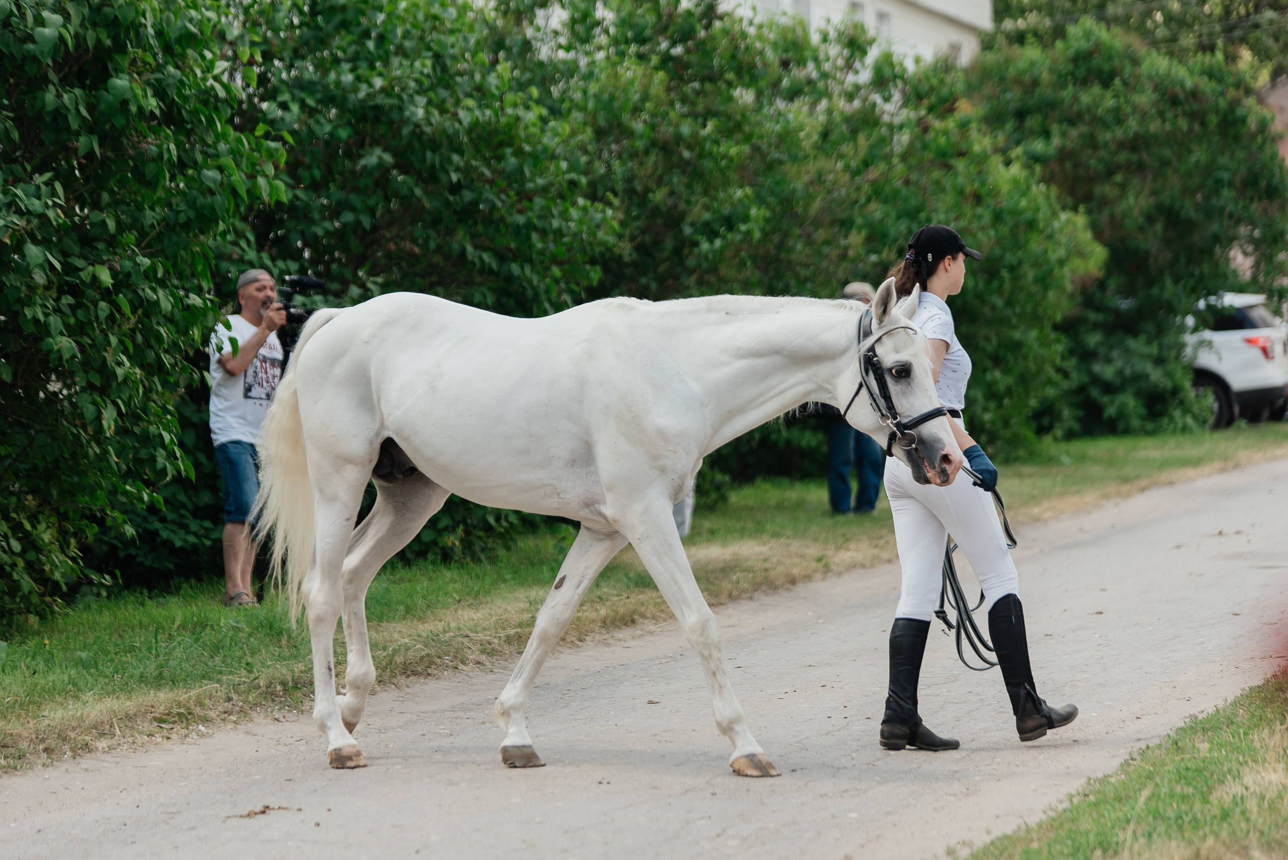 ВНИИК 17.06.2023. Кубок Евпатия Коловрата. Конкур. Фотограф Рязань