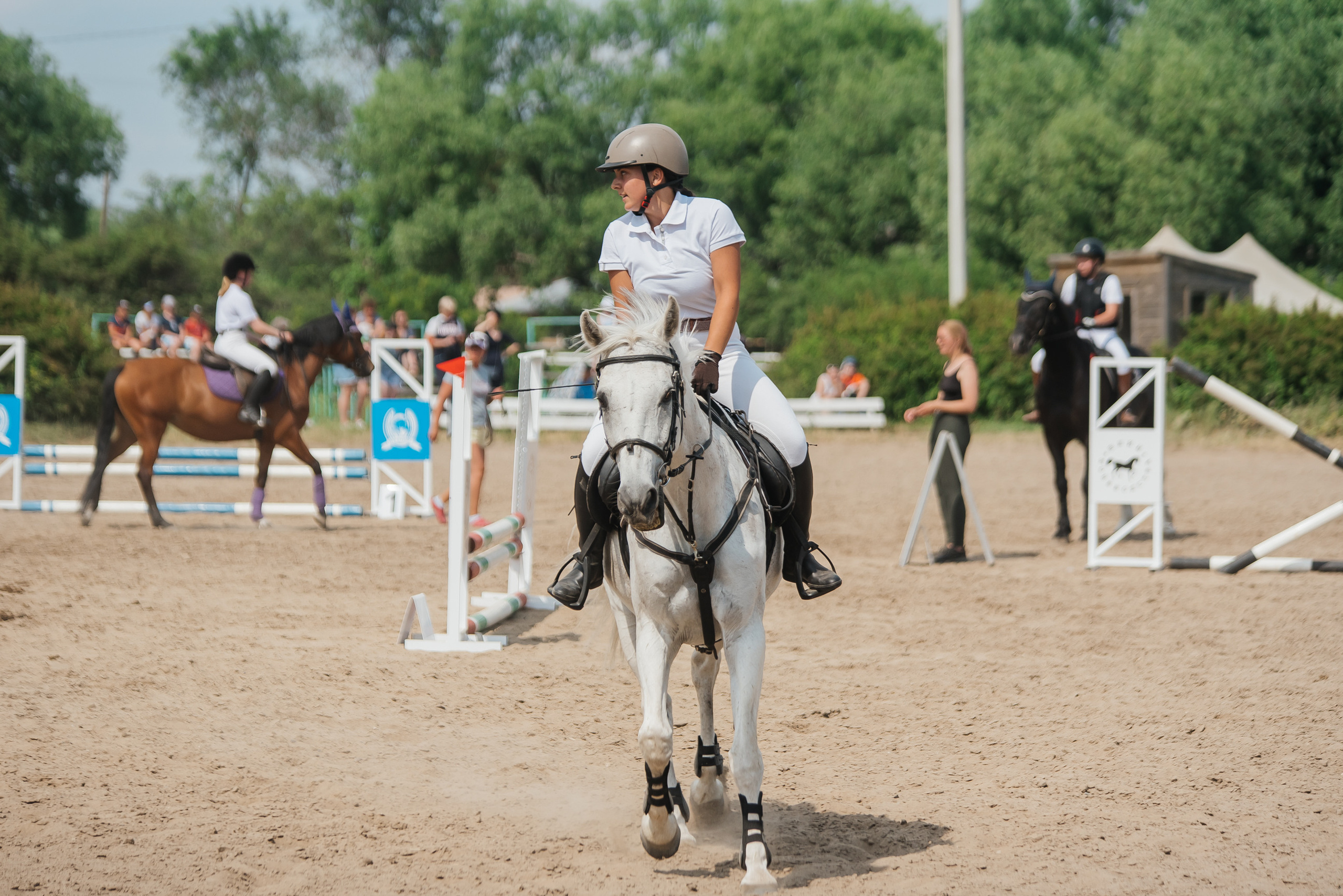 ВНИИК 17.06.2023. Кубок Евпатия Коловрата. Конкур. Фотограф Рязань