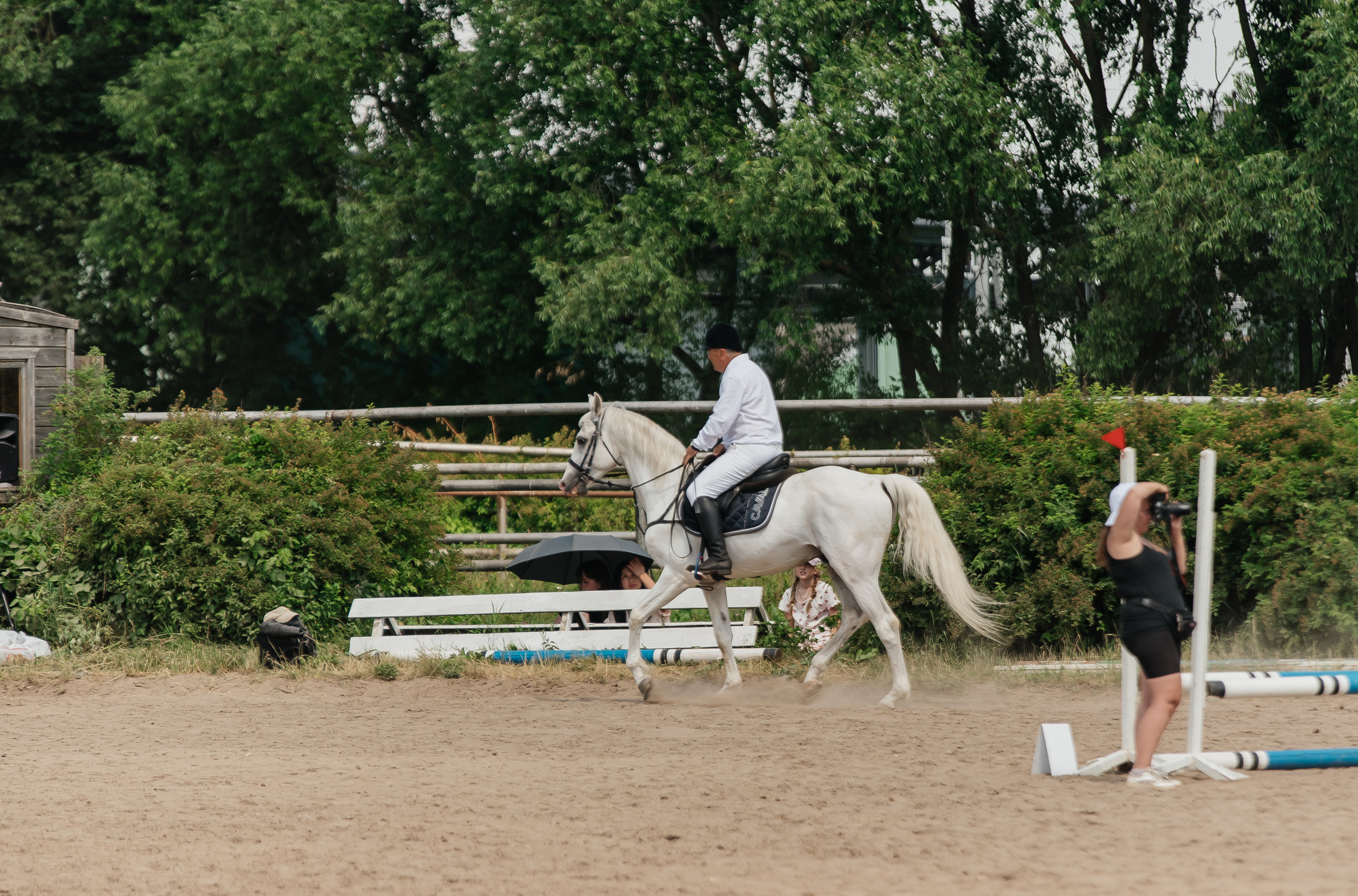 ВНИИК 17.06.2023. Кубок Евпатия Коловрата. Конкур. Фотограф Рязань