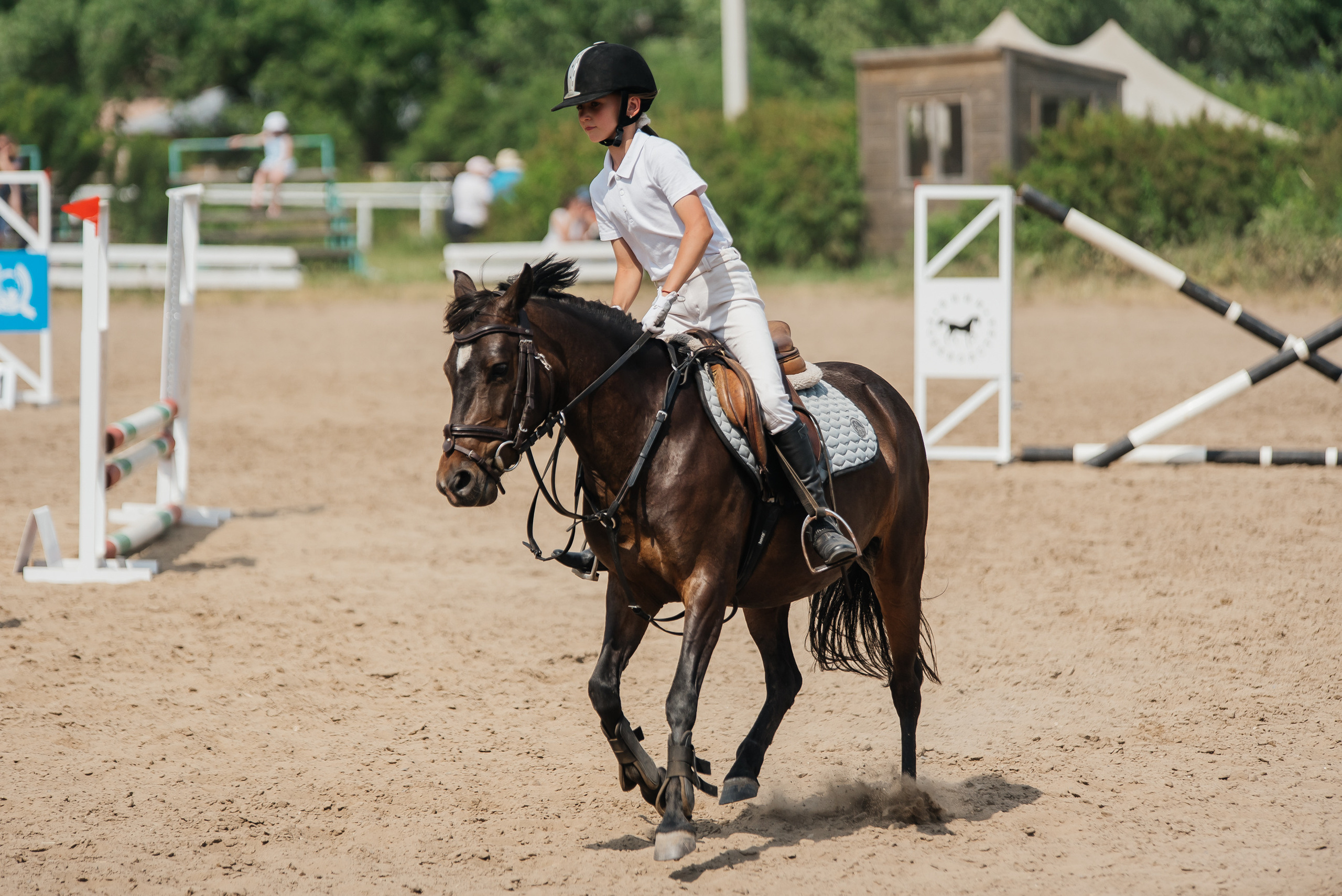 ВНИИК 17.06.2023. Кубок Евпатия Коловрата. Конкур. Фотограф Рязань