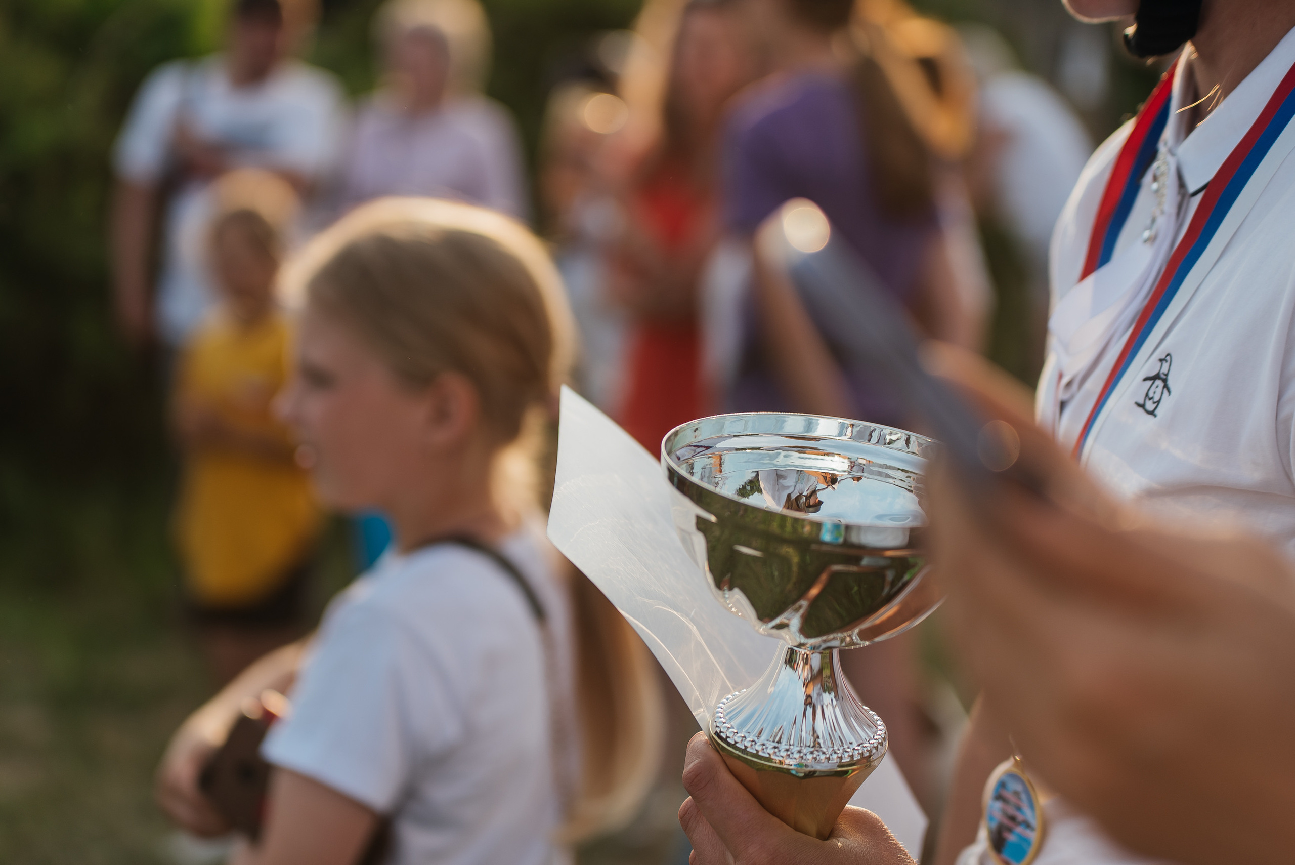 ВНИИК 17.06.2023. Кубок Евпатия Коловрата. Конкур. Фотограф Рязань