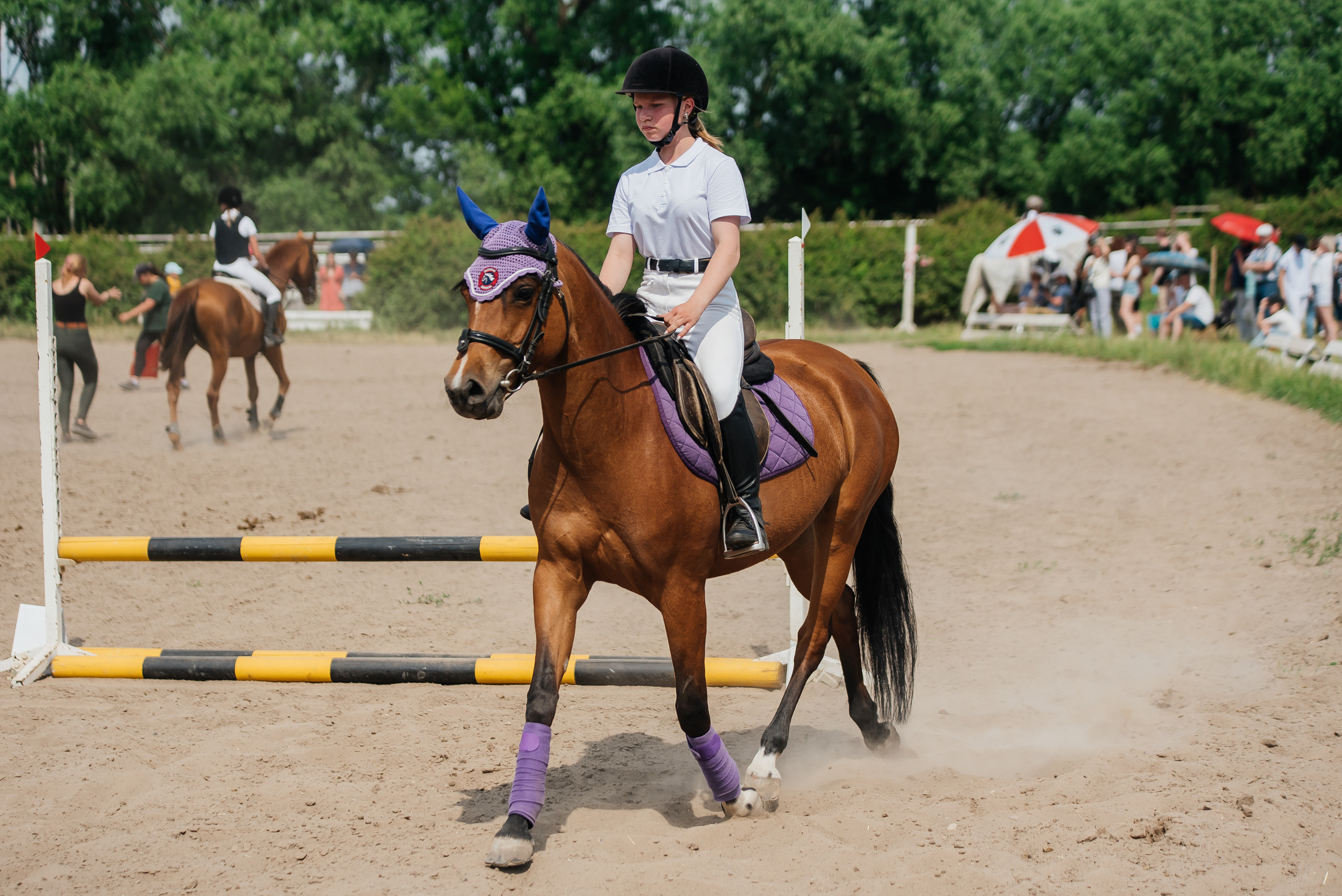 ВНИИК 17.06.2023. Кубок Евпатия Коловрата. Конкур. Фотограф Рязань
