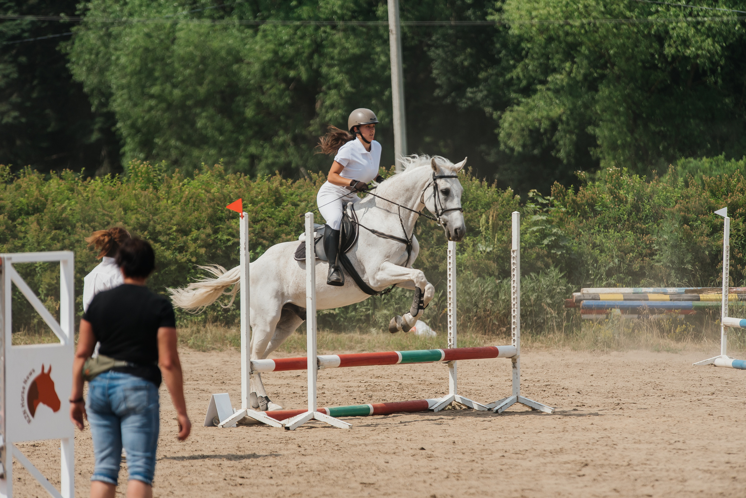 ВНИИК 17.06.2023. Кубок Евпатия Коловрата. Конкур. Фотограф Рязань