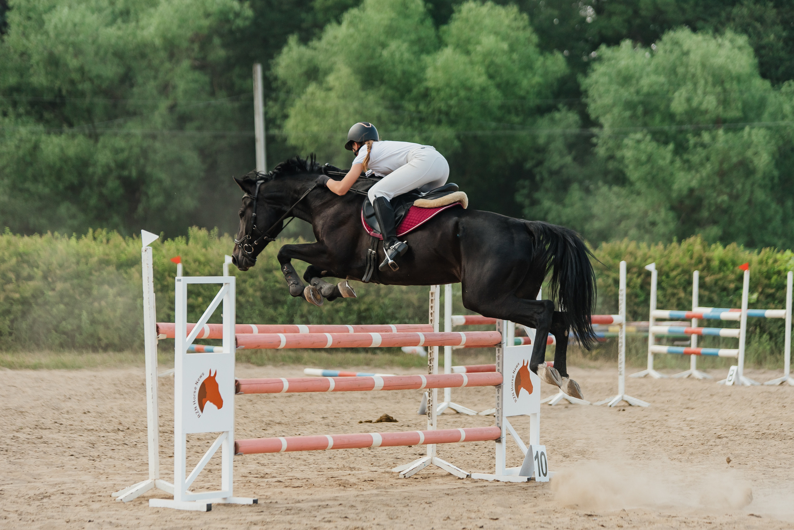 ВНИИК 17.06.2023. Кубок Евпатия Коловрата. Конкур. Фотограф Рязань