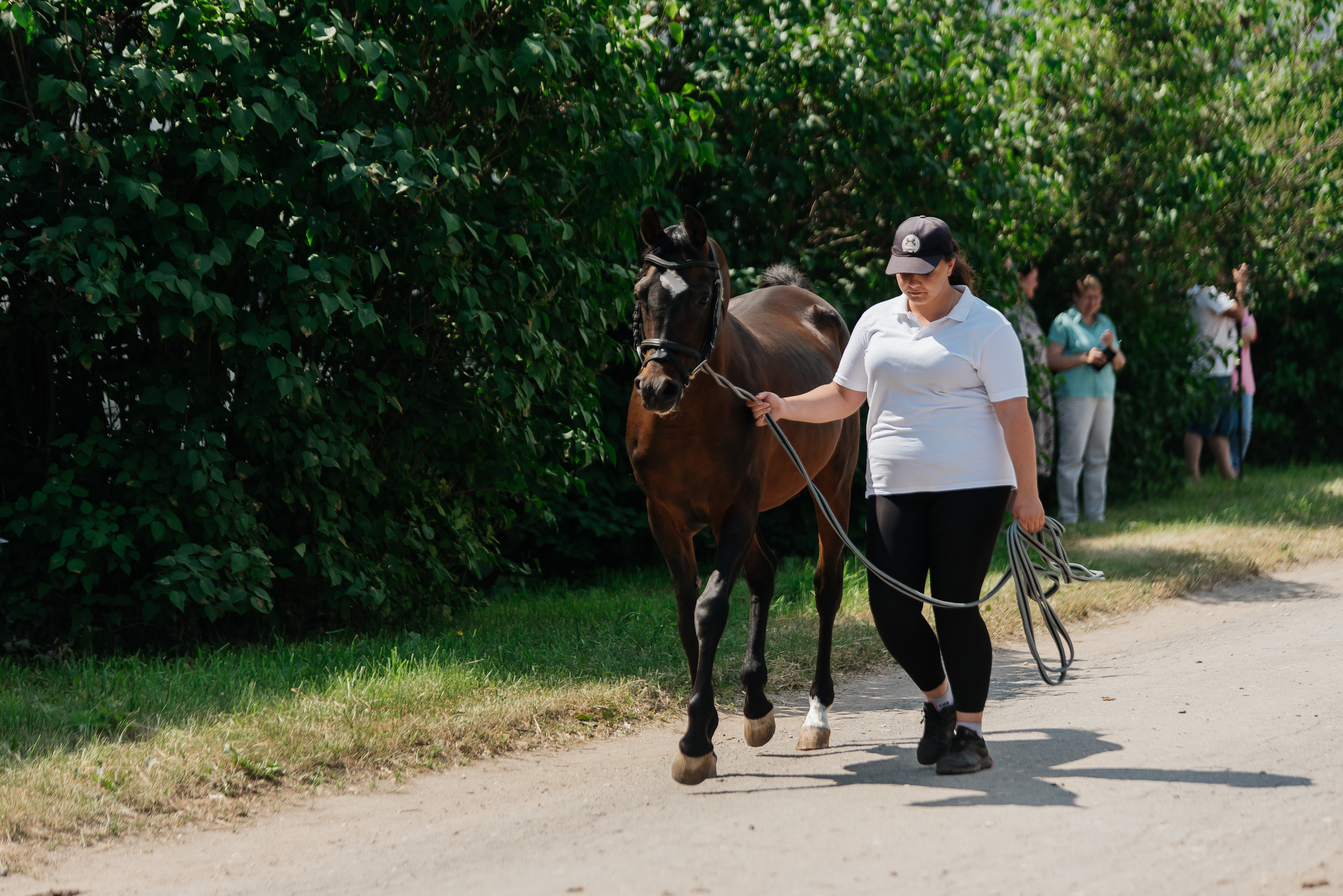 ВНИИК 17.06.2023. Кубок Евпатия Коловрата. Конкур. Фотограф Рязань