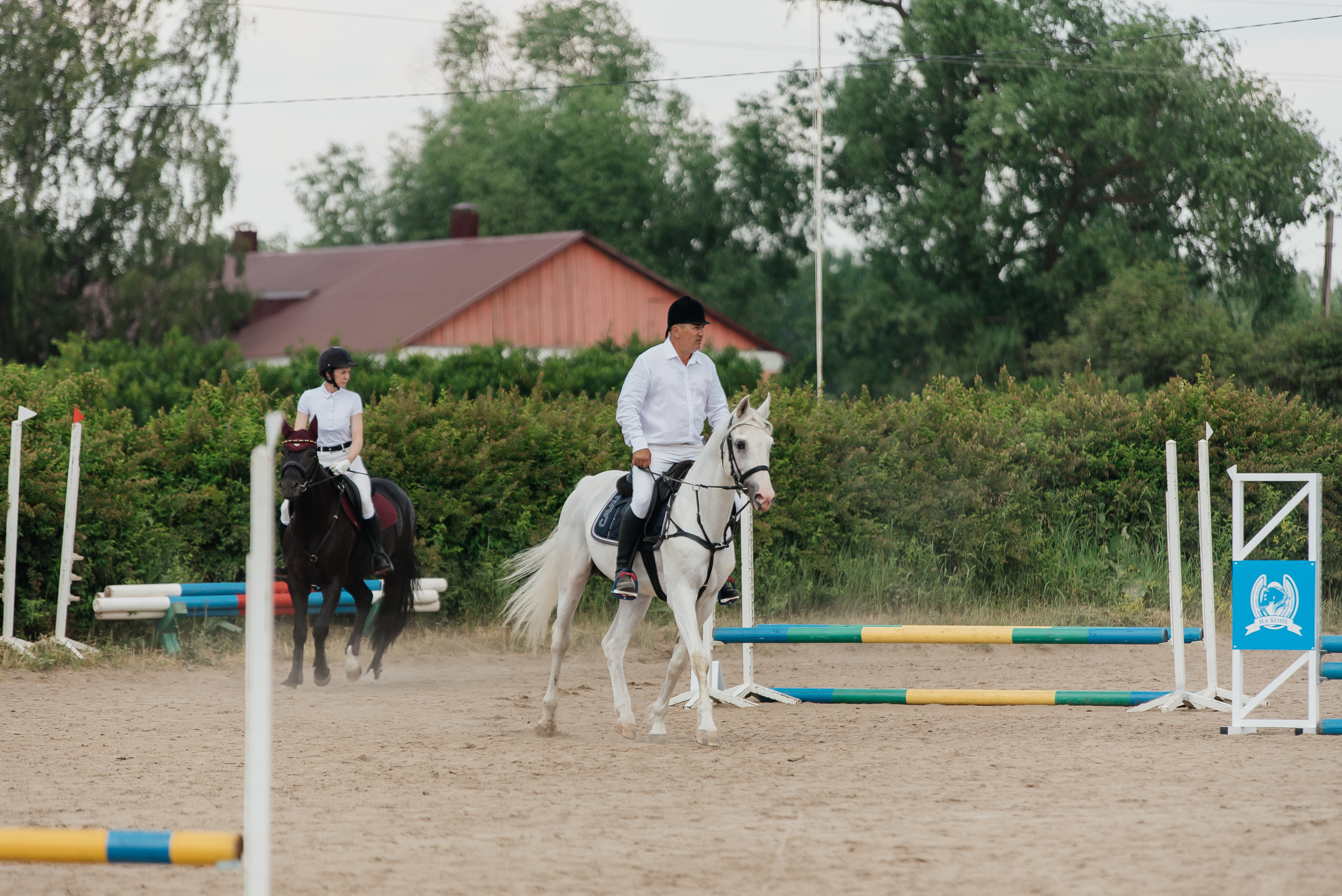 ВНИИК 17.06.2023. Кубок Евпатия Коловрата. Конкур. Фотограф Рязань