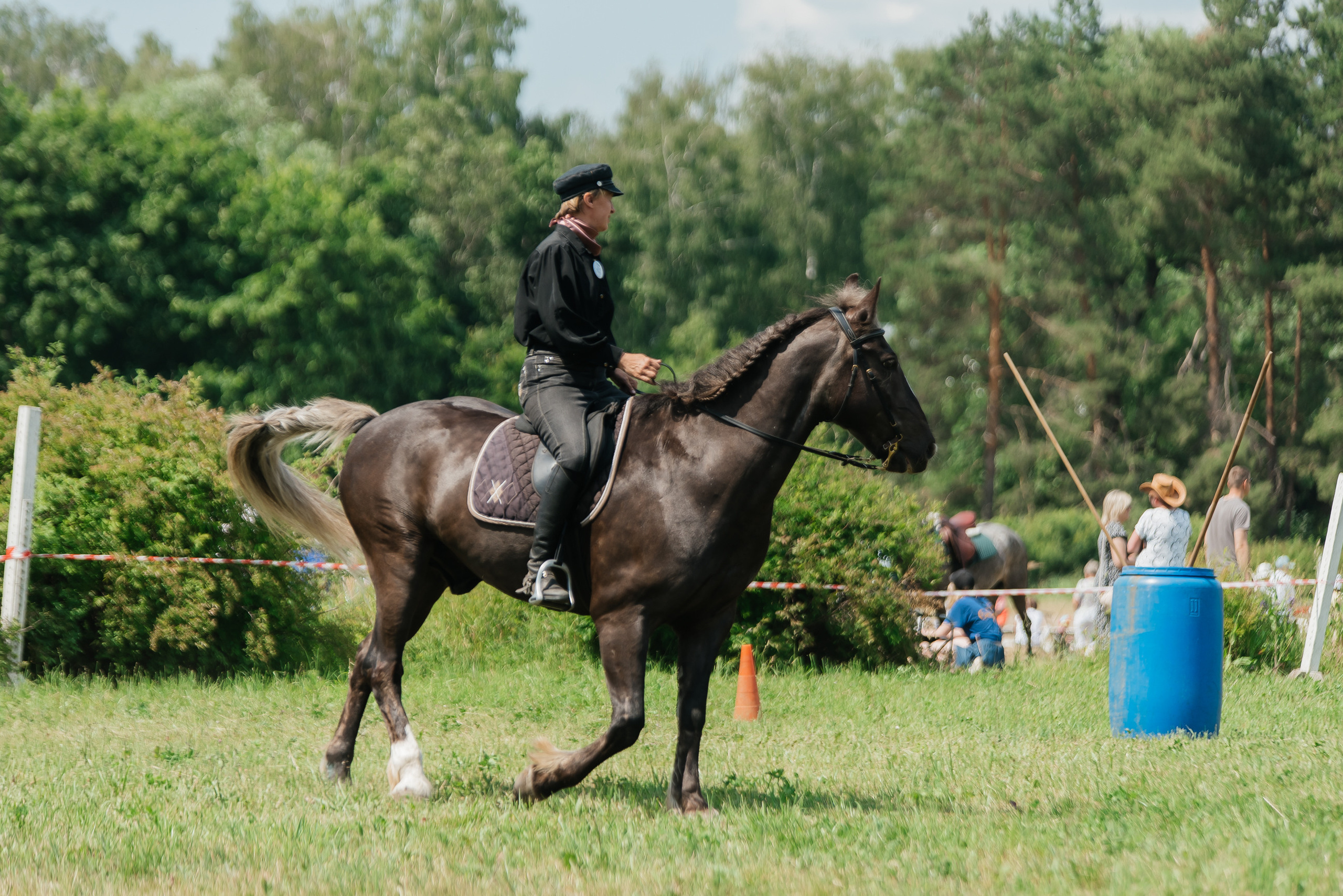 ВНИИК 17.06.2023. Кубок Евпатия Коловрата. Конкур. Фотограф Рязань