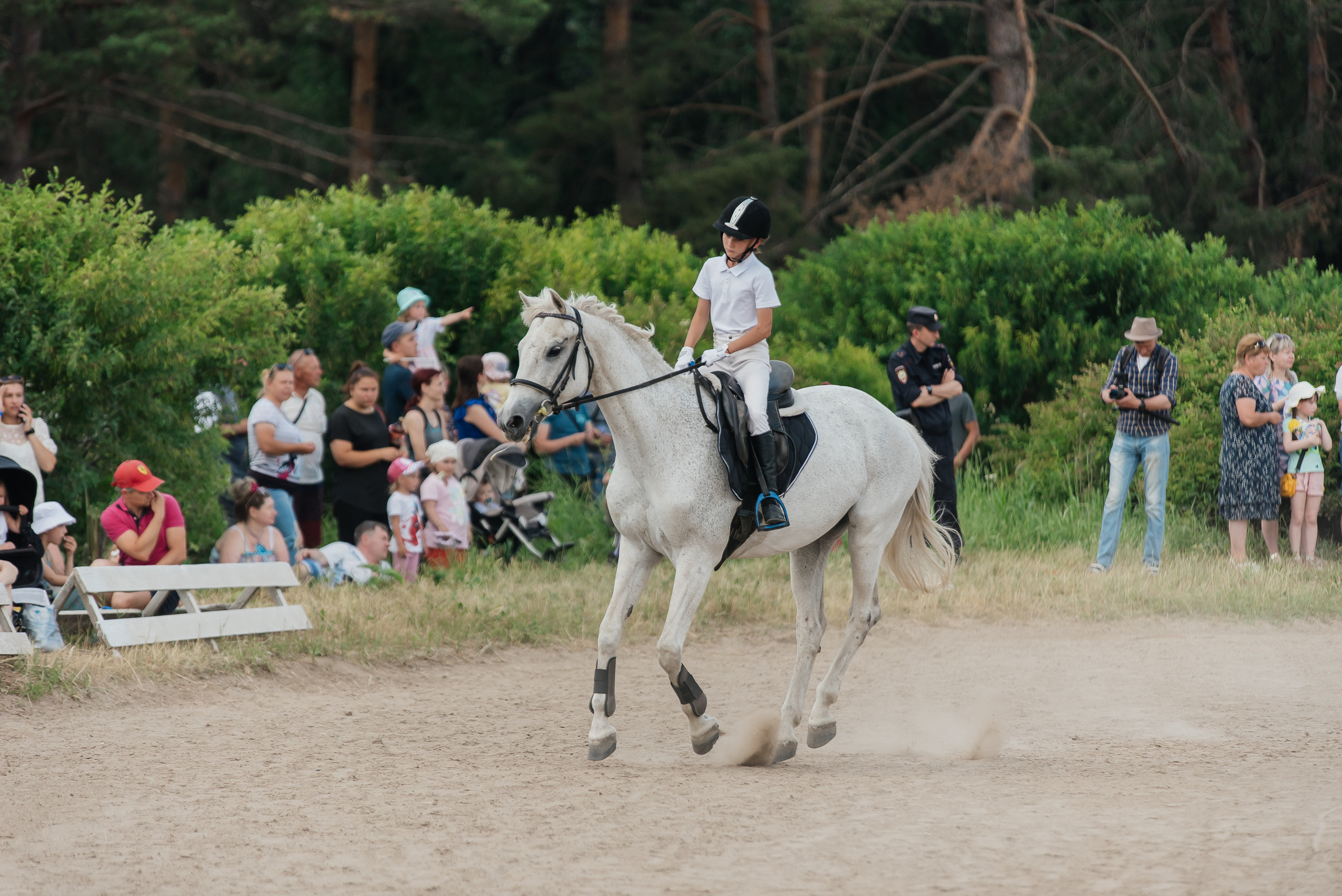 ВНИИК 17.06.2023. Кубок Евпатия Коловрата. Конкур. Фотограф Рязань