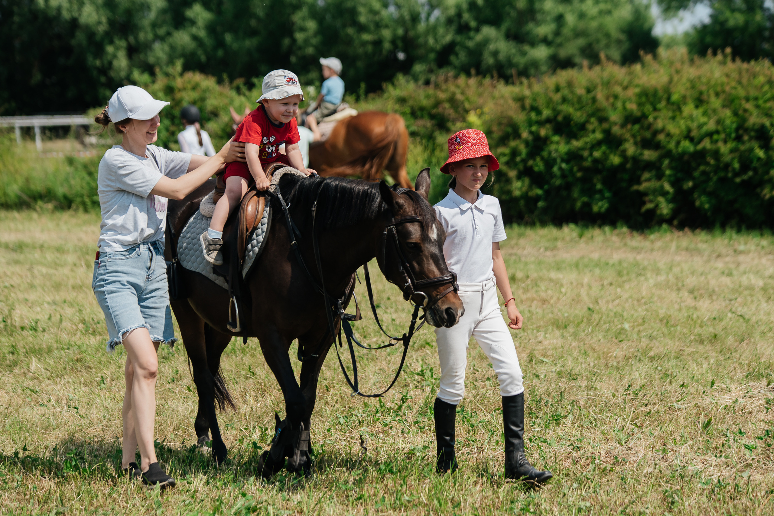 ВНИИК 17.06.2023. Кубок Евпатия Коловрата. Конкур. Фотограф Рязань