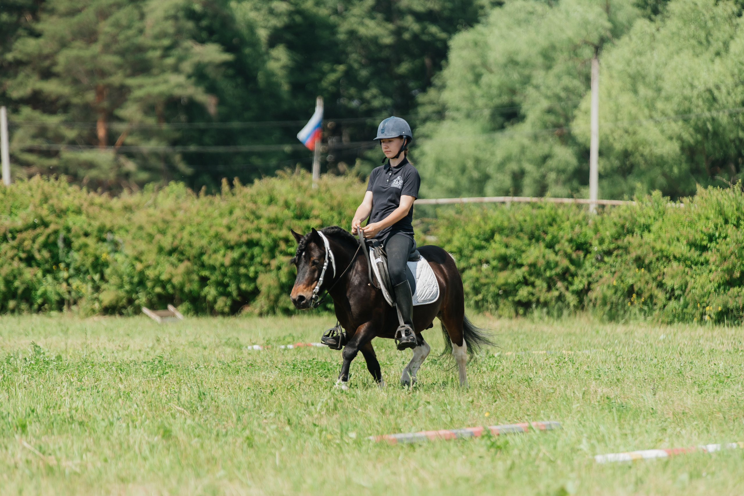 ВНИИК 17.06.2023. Кубок Евпатия Коловрата. Конкур. Фотограф Рязань