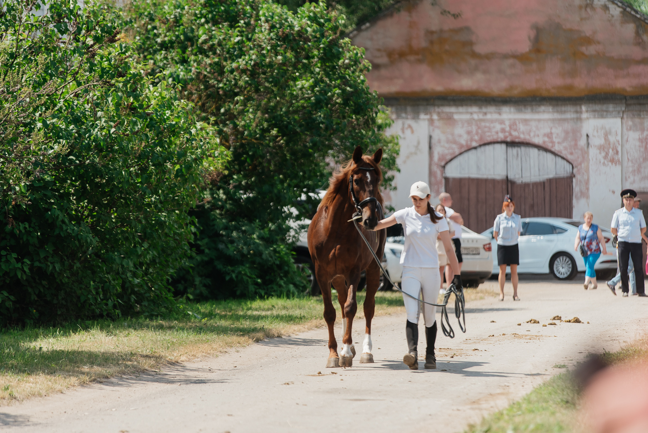 ВНИИК 17.06.2023. Кубок Евпатия Коловрата. Конкур. Фотограф Рязань