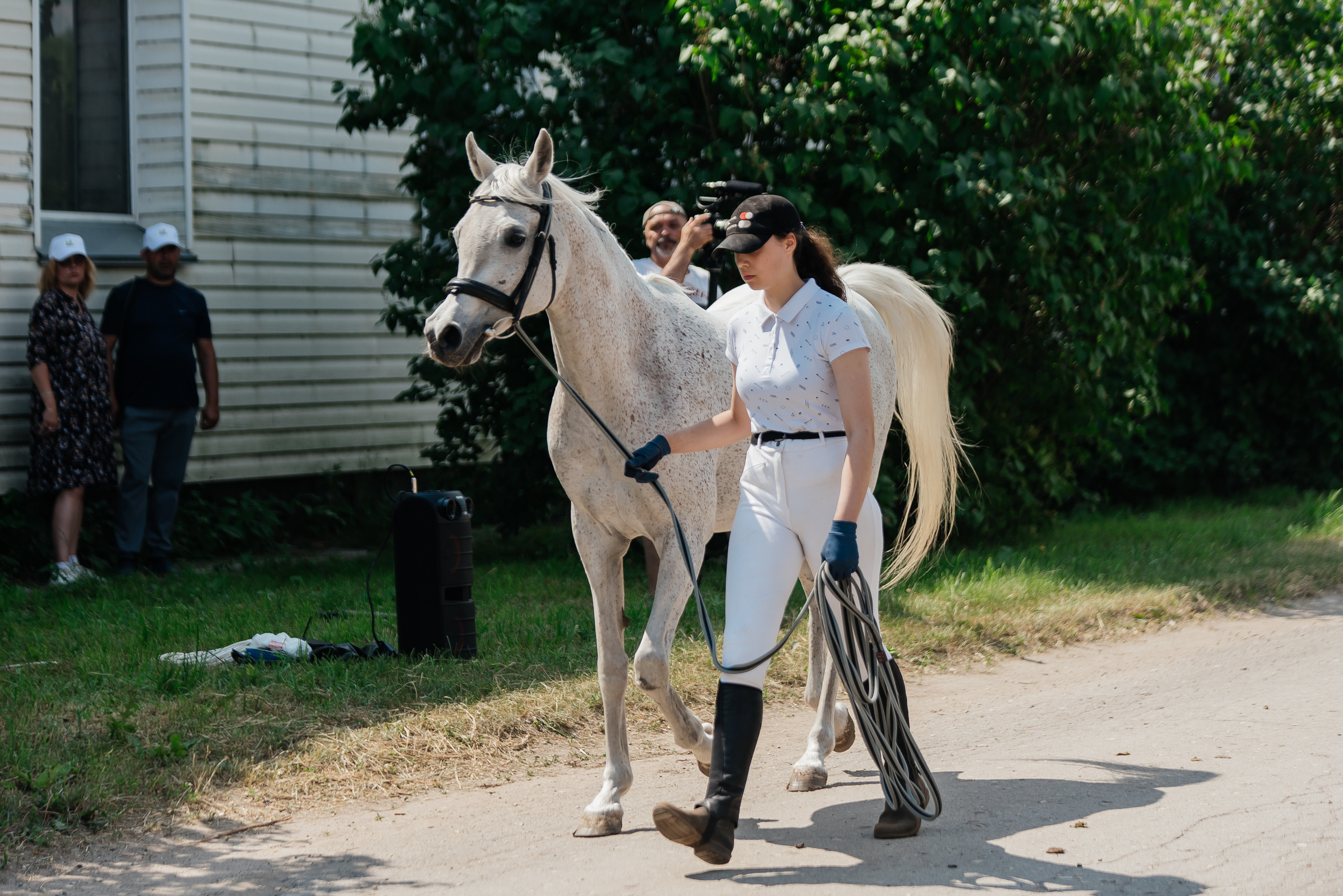 ВНИИК 17.06.2023. Кубок Евпатия Коловрата. Конкур. Фотограф Рязань