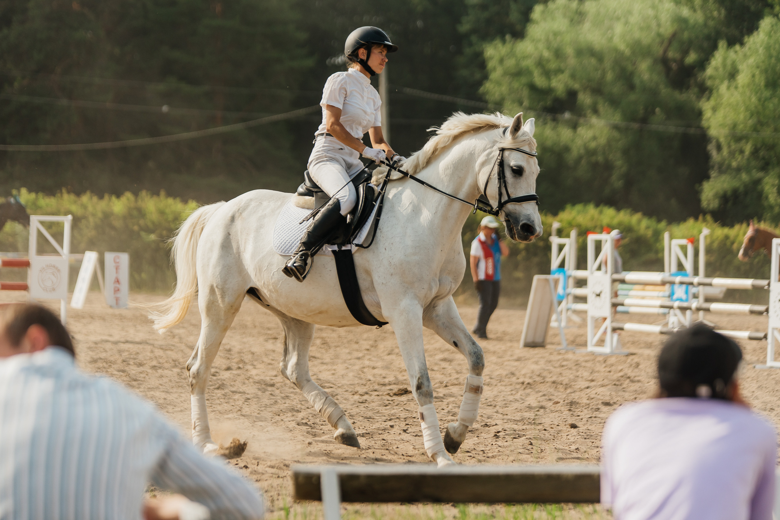 ВНИИК 17.06.2023. Кубок Евпатия Коловрата. Конкур. Фотограф Рязань