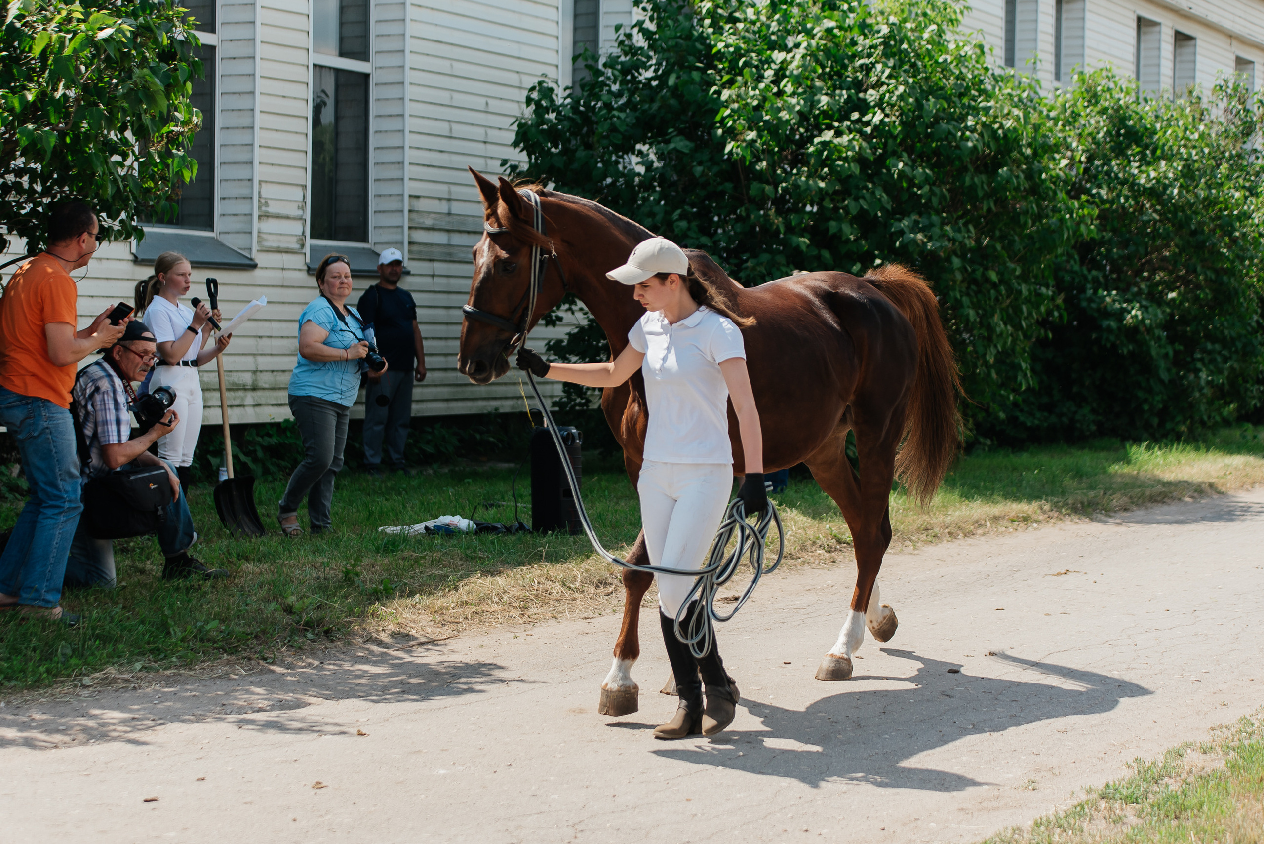 ВНИИК 17.06.2023. Кубок Евпатия Коловрата. Конкур. Фотограф Рязань