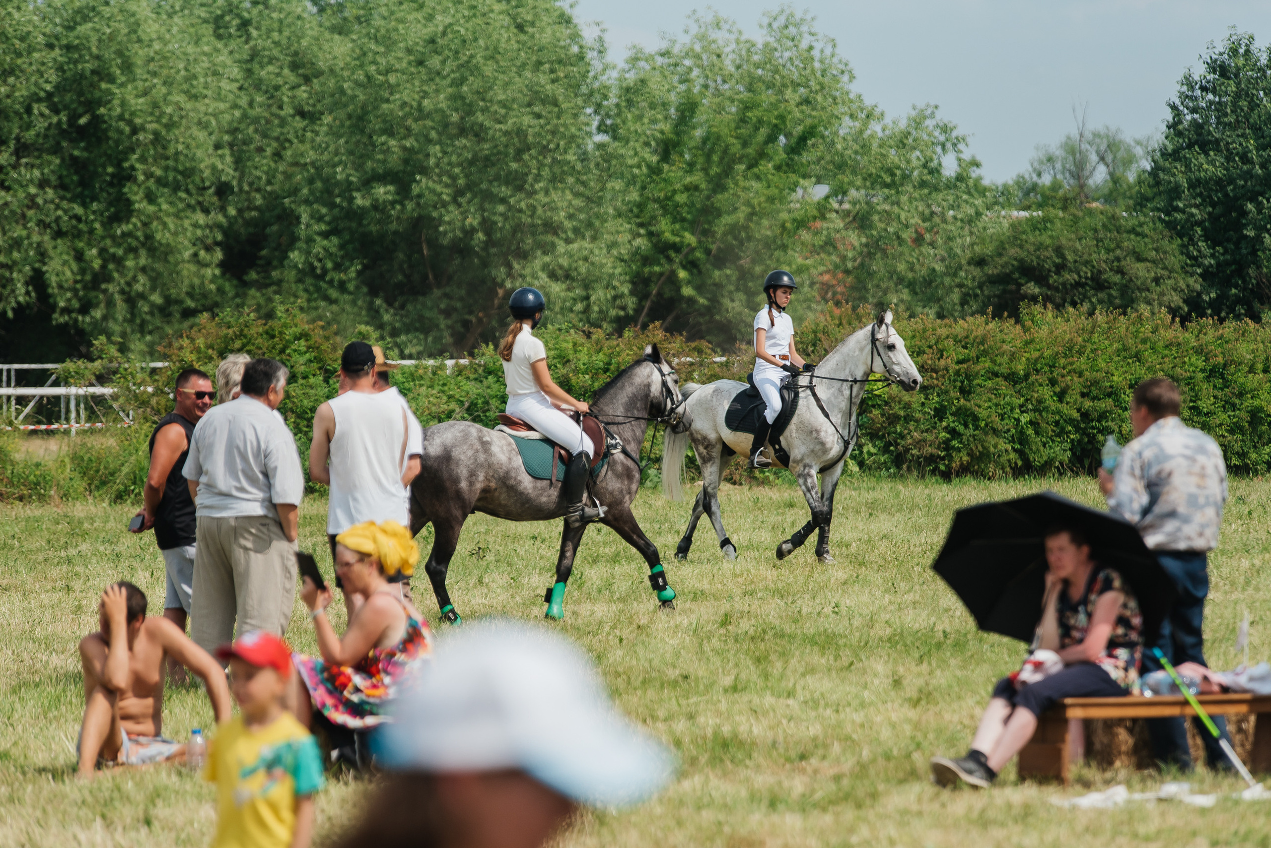 ВНИИК 17.06.2023. Кубок Евпатия Коловрата. Конкур. Фотограф Рязань