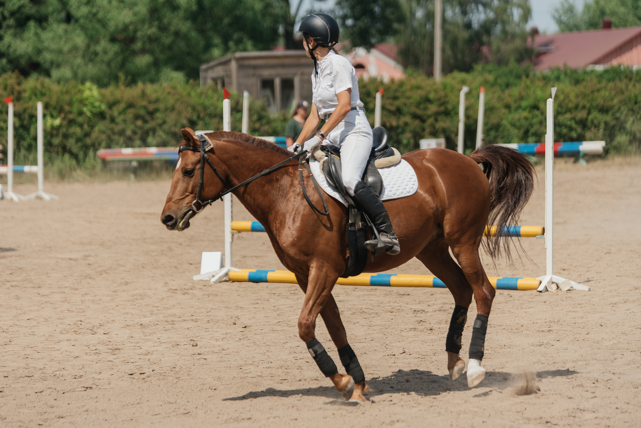 ВНИИК 17.06.2023. Кубок Евпатия Коловрата. Конкур. Фотограф Рязань