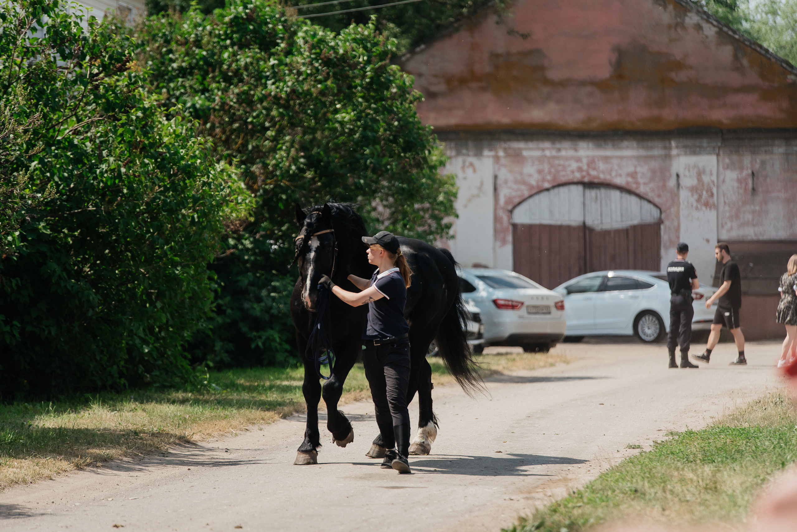 ВНИИК 17.06.2023. Кубок Евпатия Коловрата. Конкур. Фотограф Рязань