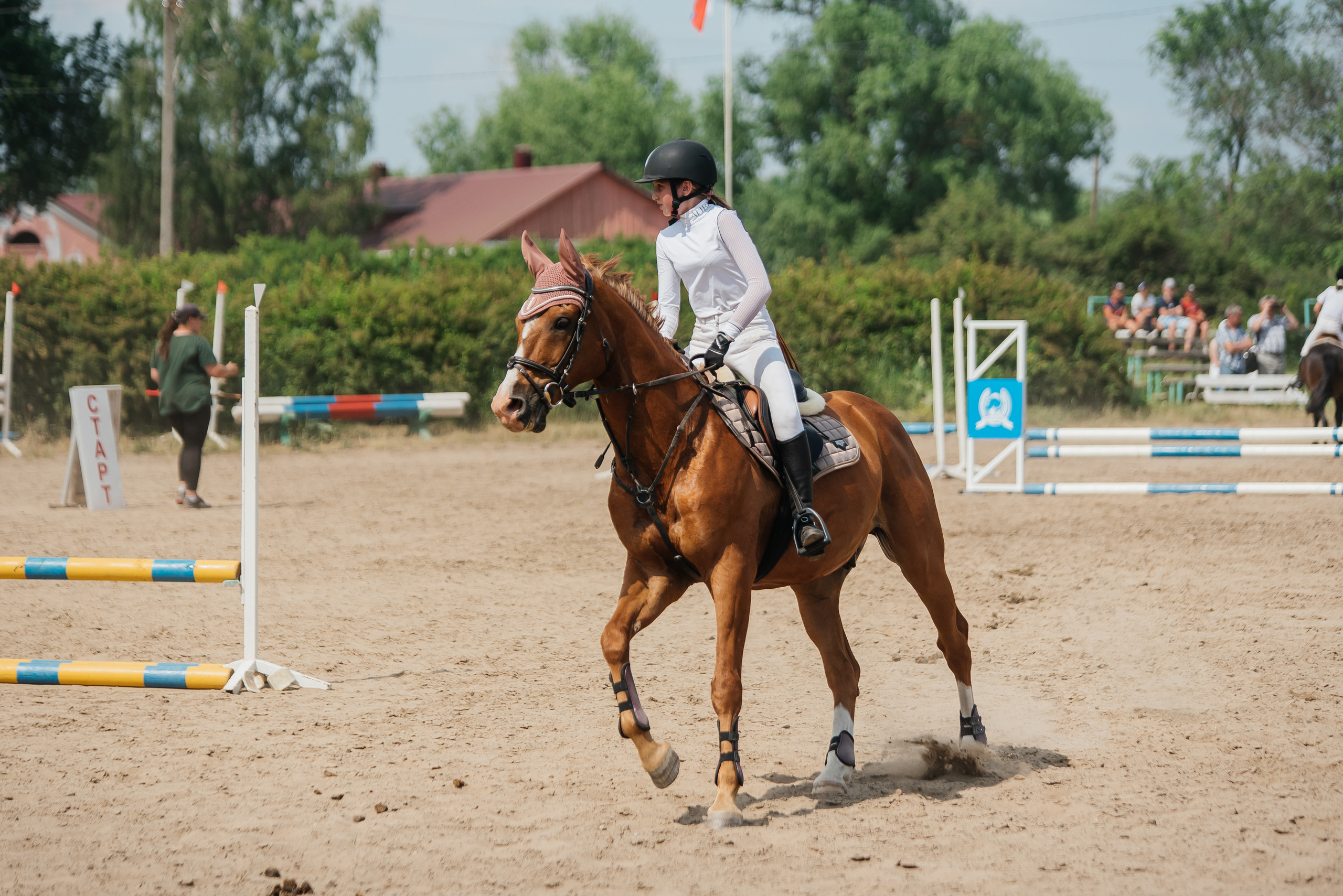 ВНИИК 17.06.2023. Кубок Евпатия Коловрата. Конкур. Фотограф Рязань