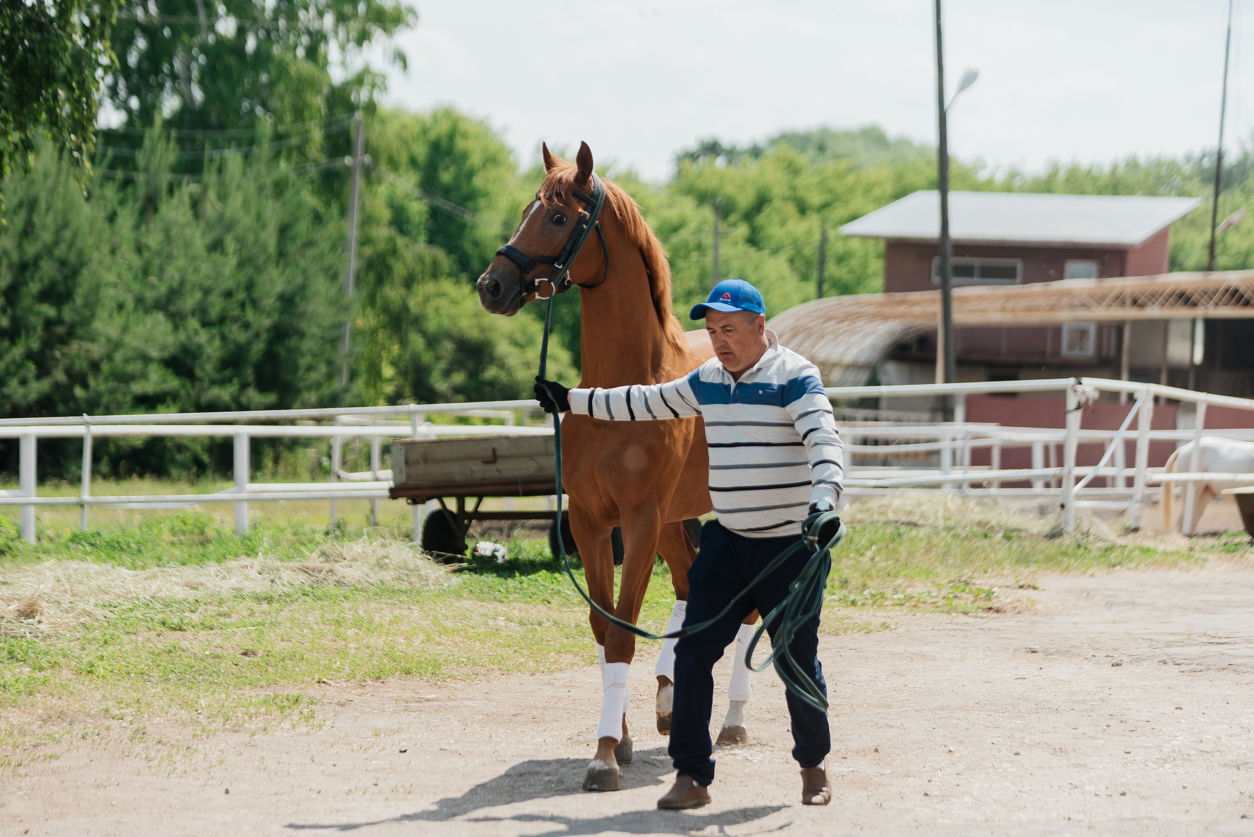 ВНИИК 17.06.2023. Кубок Евпатия Коловрата. Конкур. Фотограф Рязань