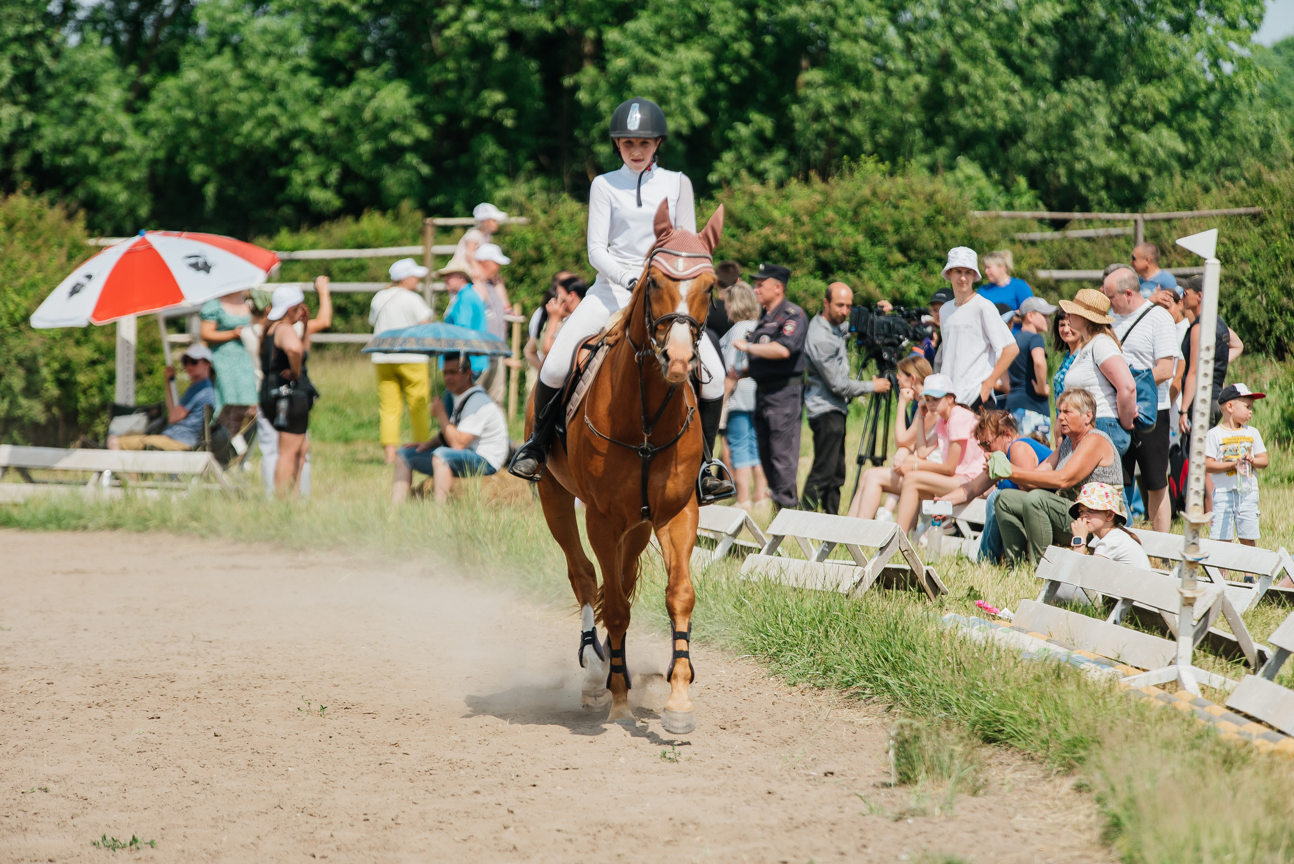 ВНИИК 17.06.2023. Кубок Евпатия Коловрата. Конкур. Фотограф Рязань