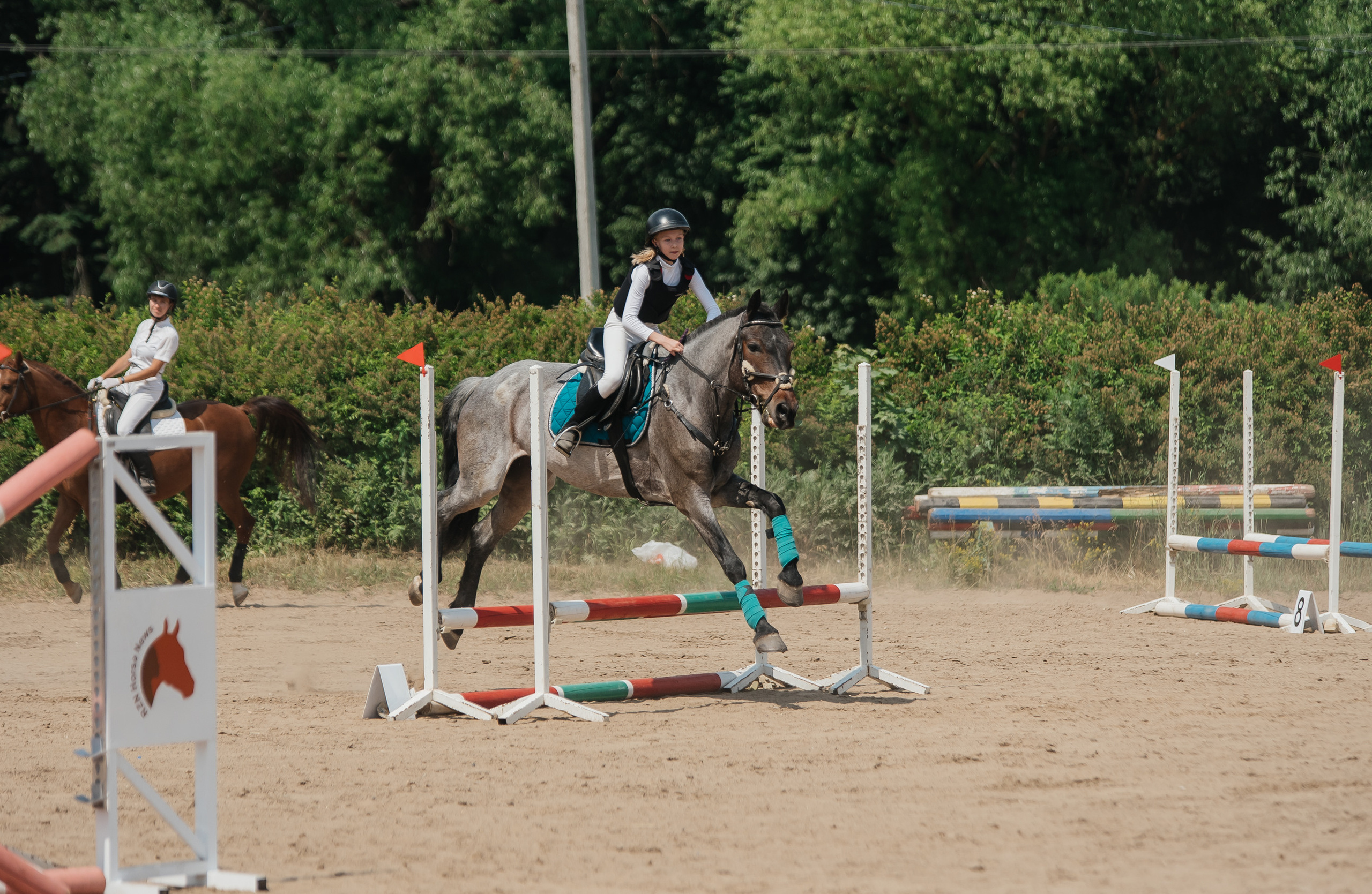 ВНИИК 17.06.2023. Кубок Евпатия Коловрата. Конкур. Фотограф Рязань