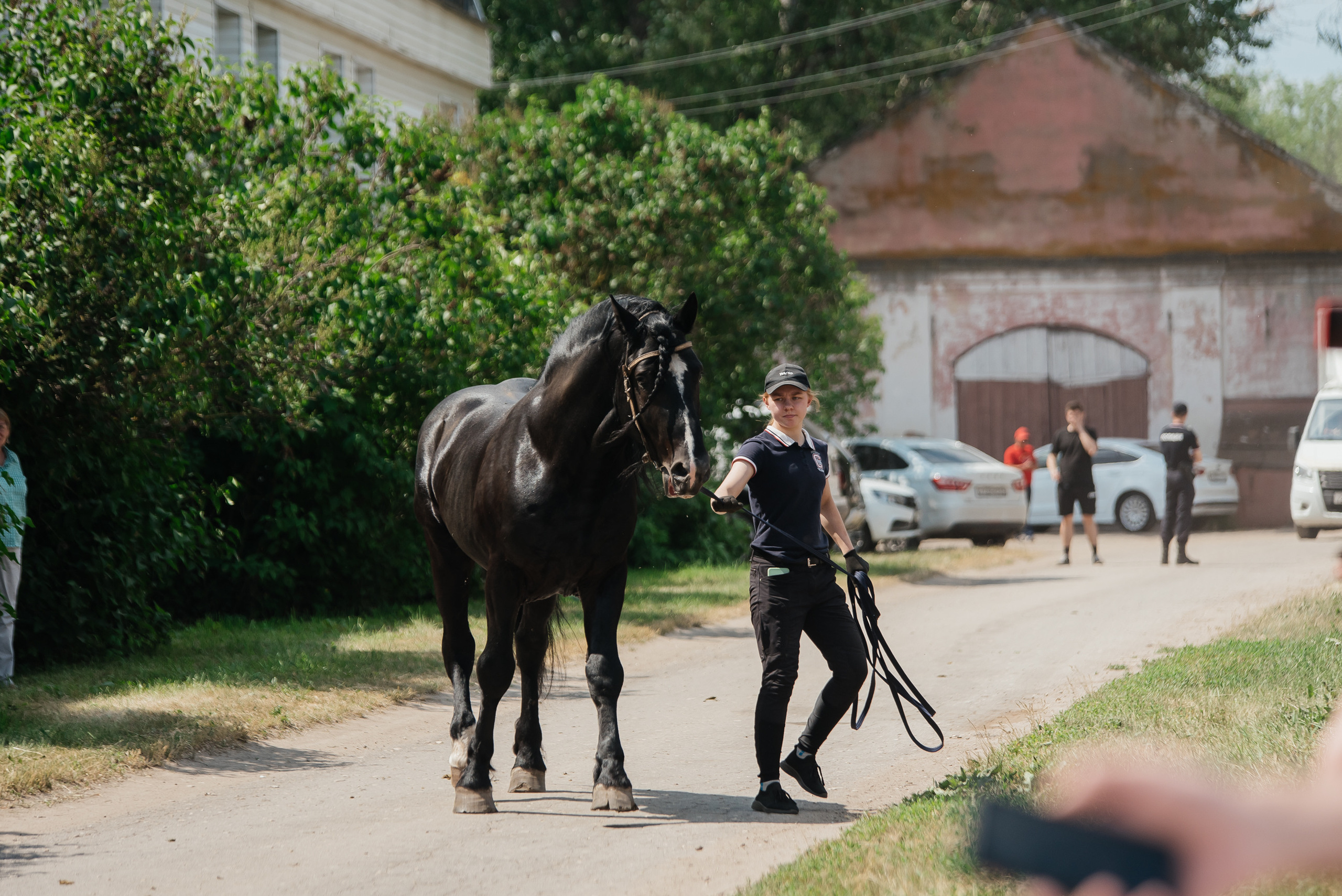ВНИИК 17.06.2023. Кубок Евпатия Коловрата. Конкур. Фотограф Рязань