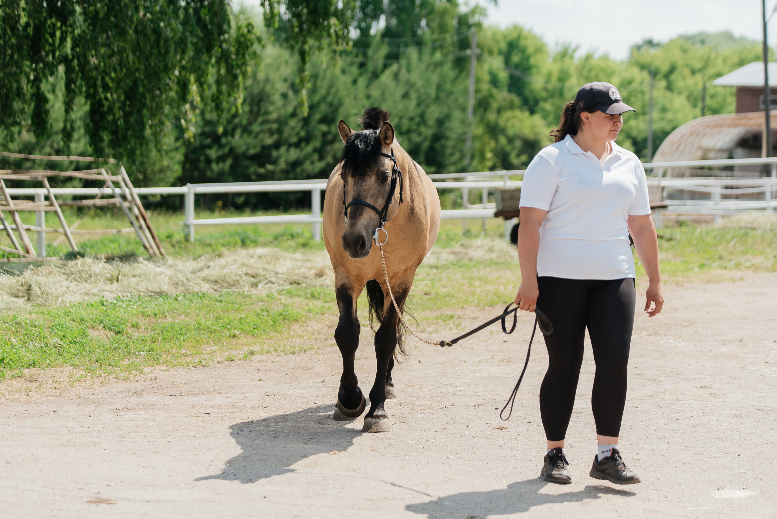 ВНИИК 17.06.2023. Кубок Евпатия Коловрата. Конкур. Фотограф Рязань