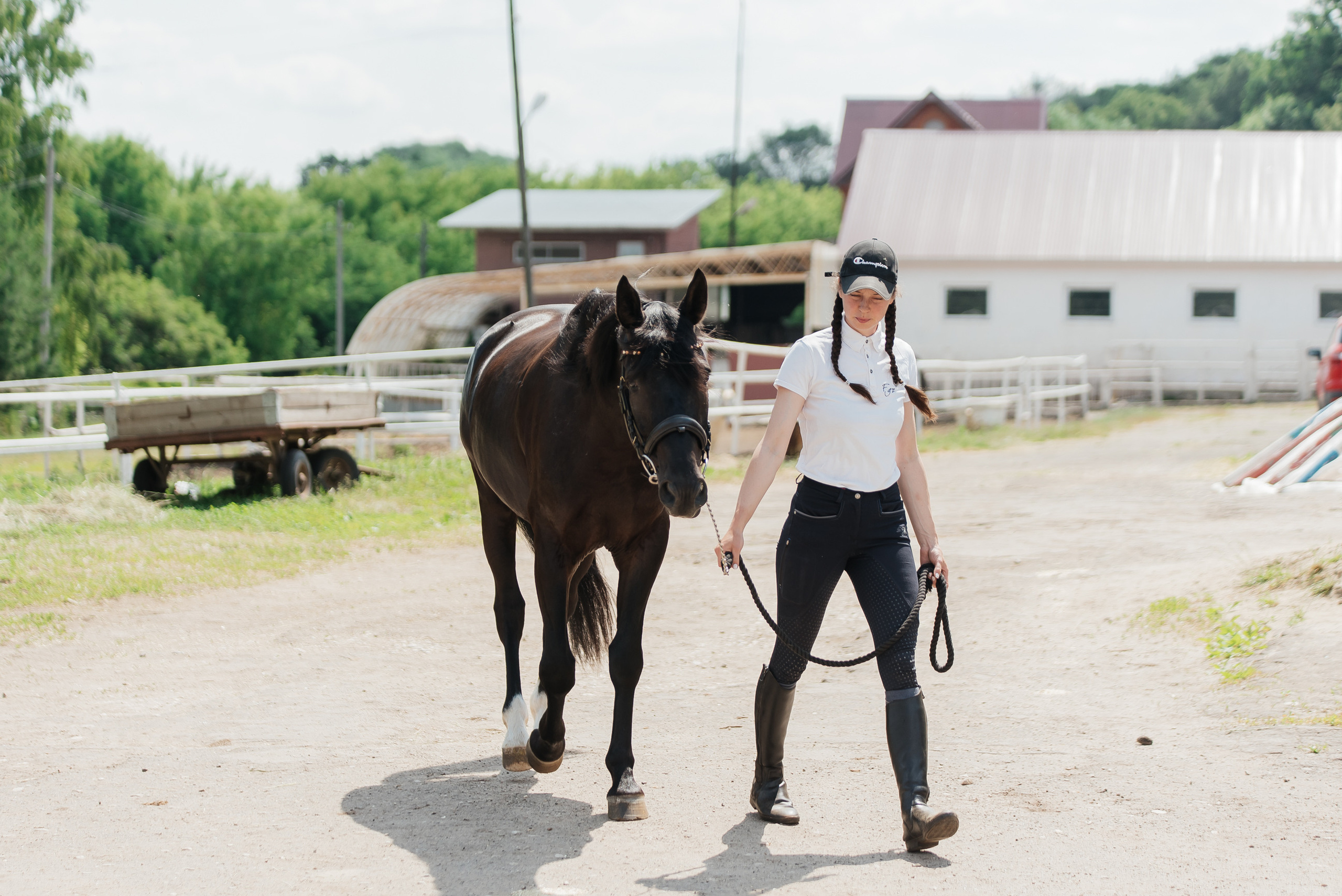 ВНИИК 17.06.2023. Кубок Евпатия Коловрата. Конкур. Фотограф Рязань