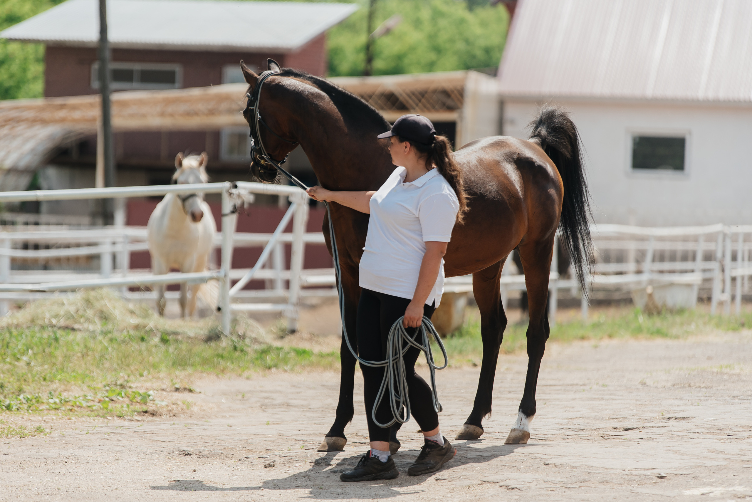 ВНИИК 17.06.2023. Кубок Евпатия Коловрата. Конкур. Фотограф Рязань