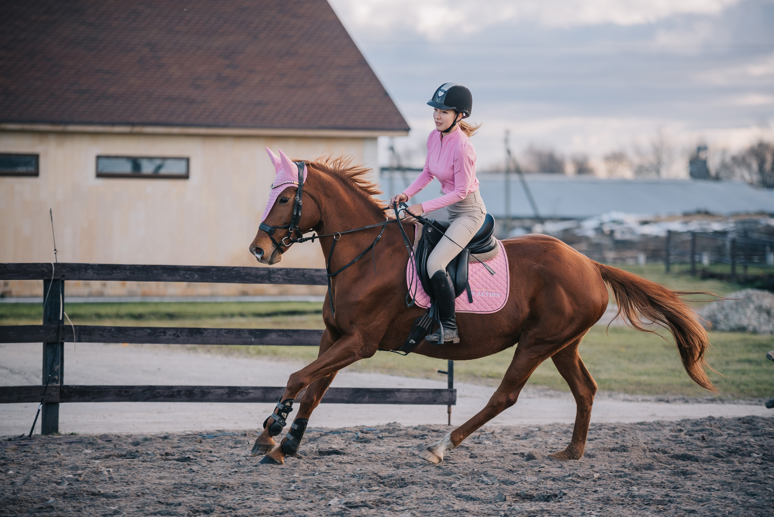 Фотосессии с лошадьми. Фотограф Рязань
