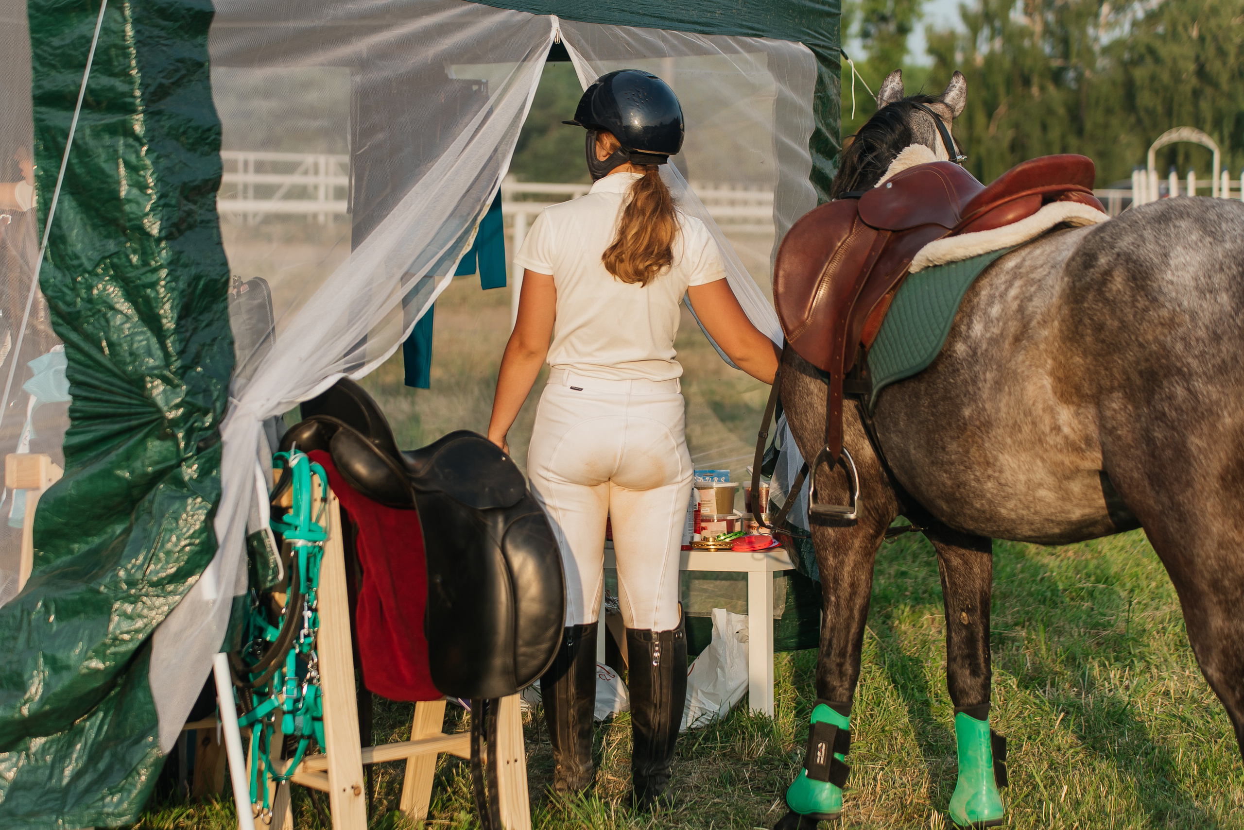 ВНИИК 17.06.2023. Кубок Евпатия Коловрата. Конкур. Фотограф Рязань