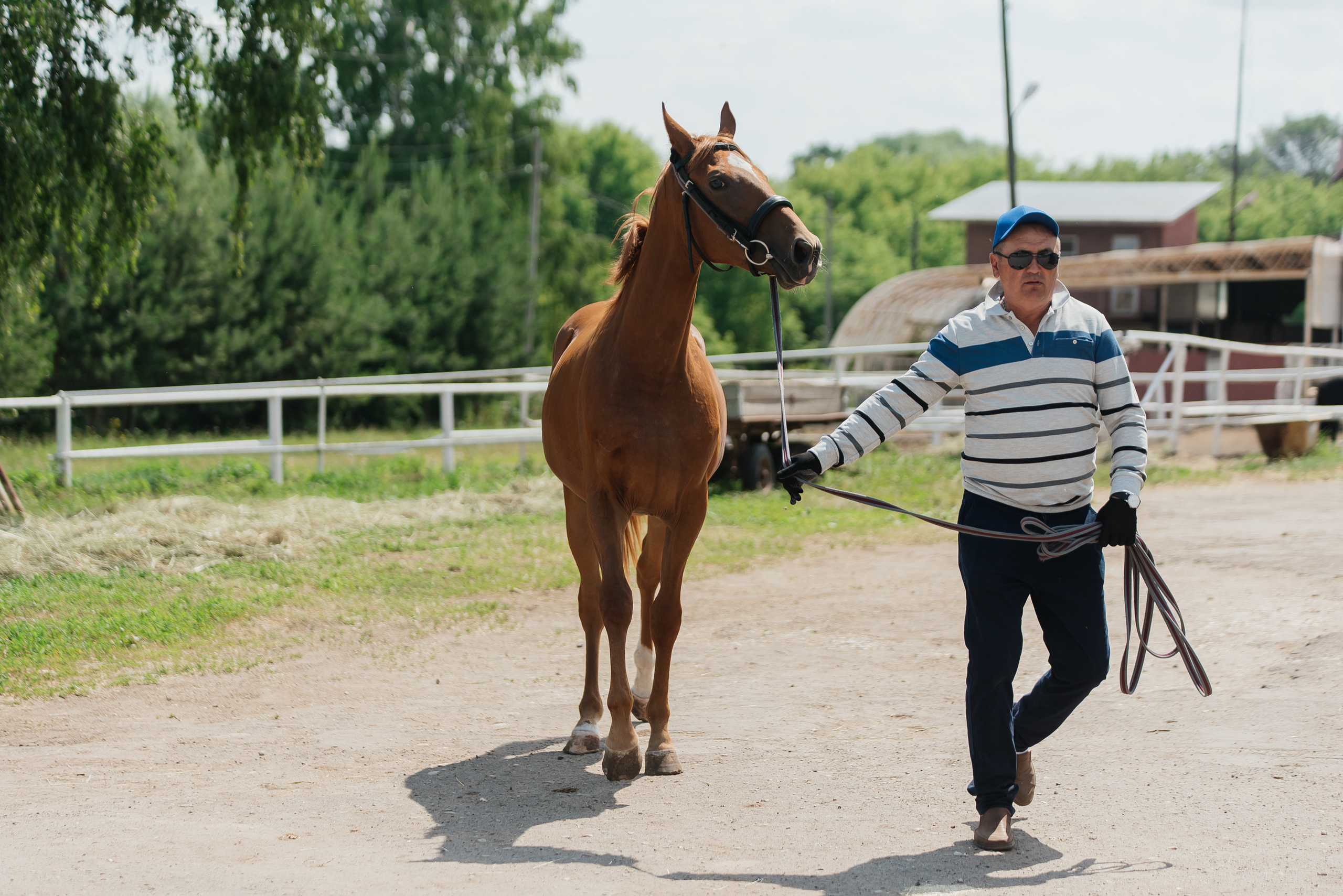 ВНИИК 17.06.2023. Кубок Евпатия Коловрата. Конкур. Фотограф Рязань
