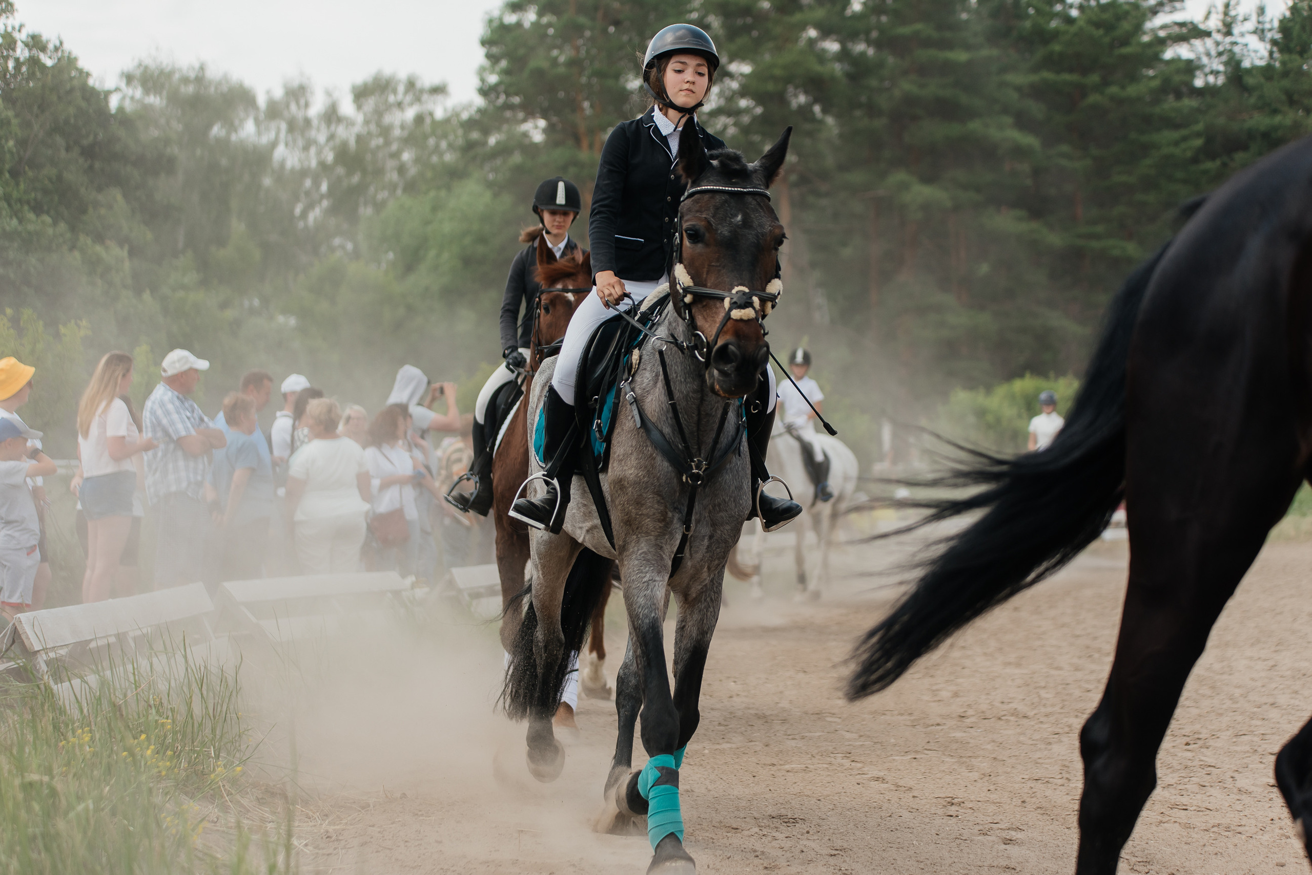 ВНИИК 17.06.2023. Кубок Евпатия Коловрата. Конкур. Фотограф Рязань