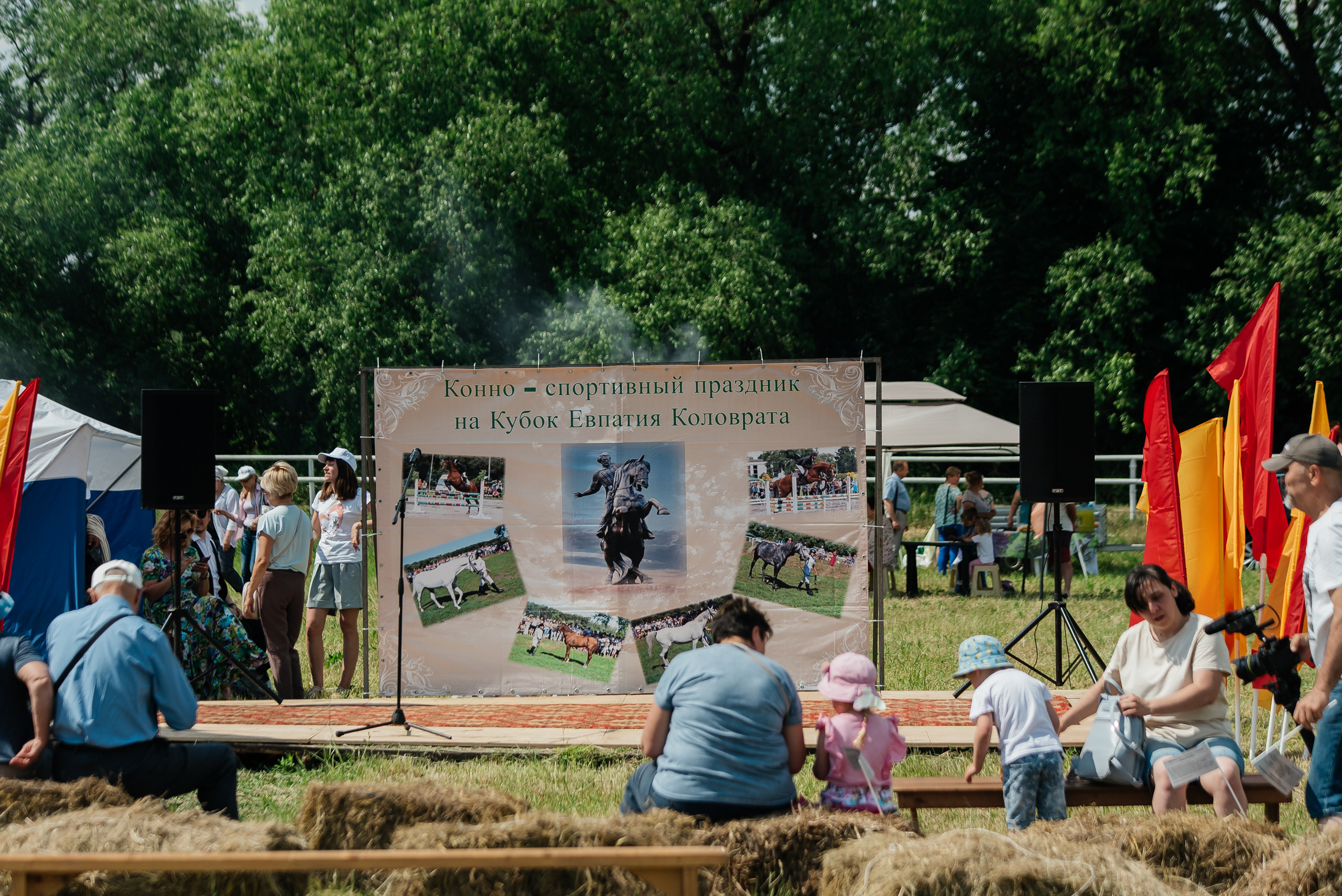 ВНИИК 17.06.2023. Кубок Евпатия Коловрата. Конкур. Фотограф Рязань