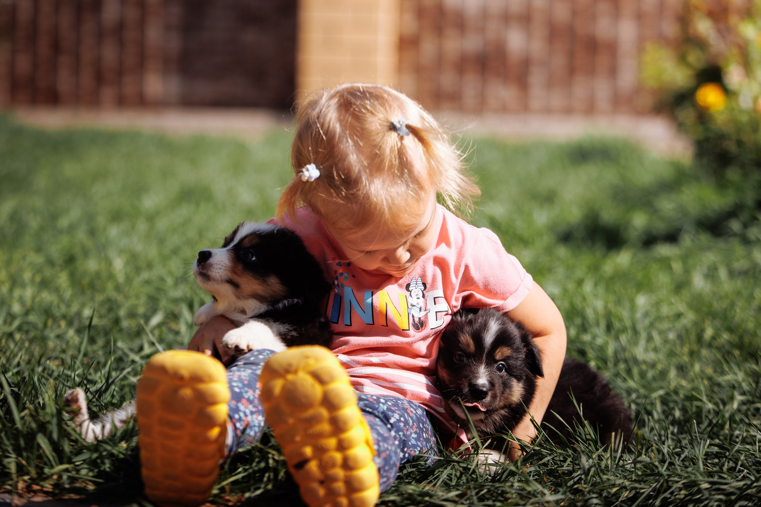 МММ — маленькое мягкое милое. О нас