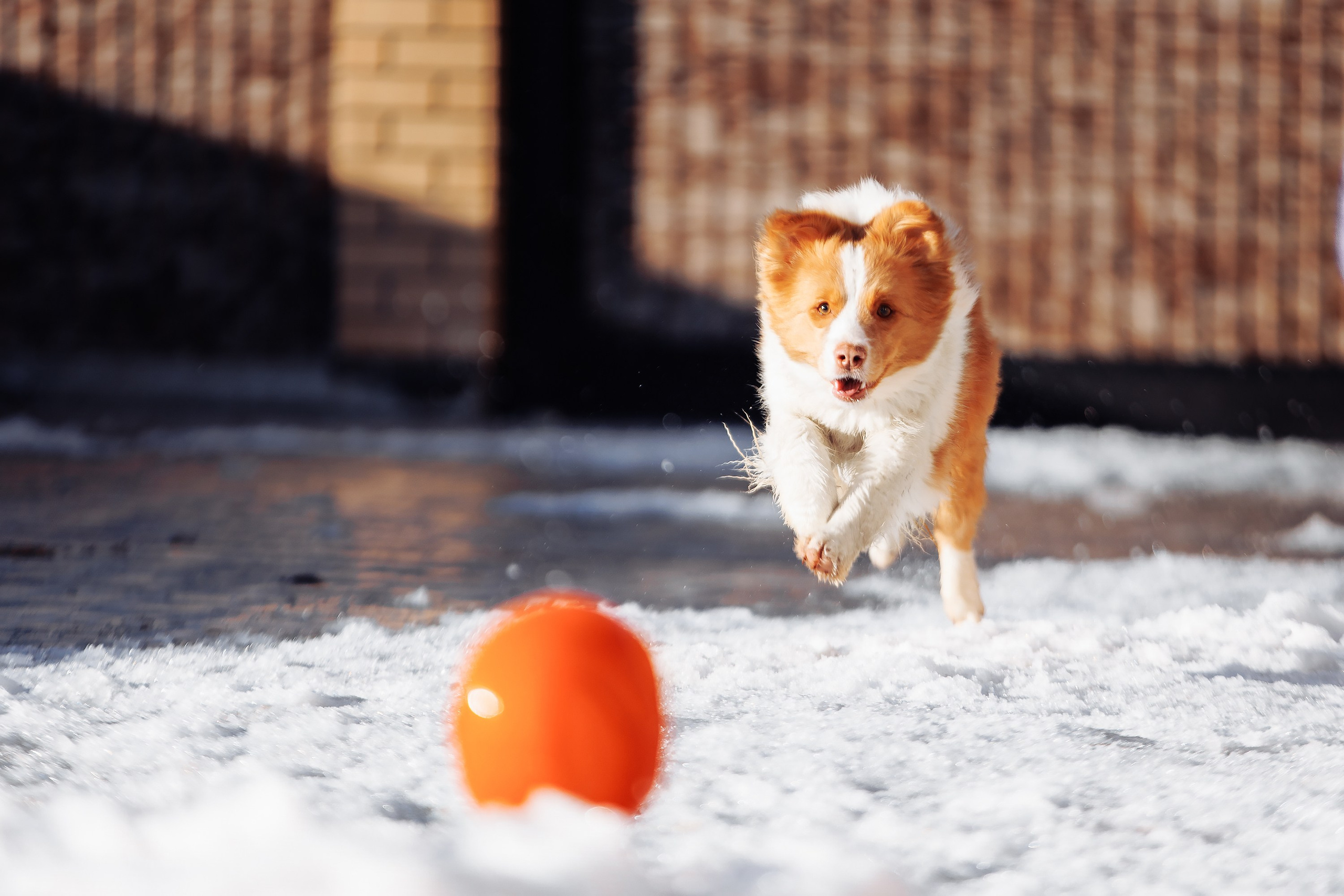 Пока таяло. О нас