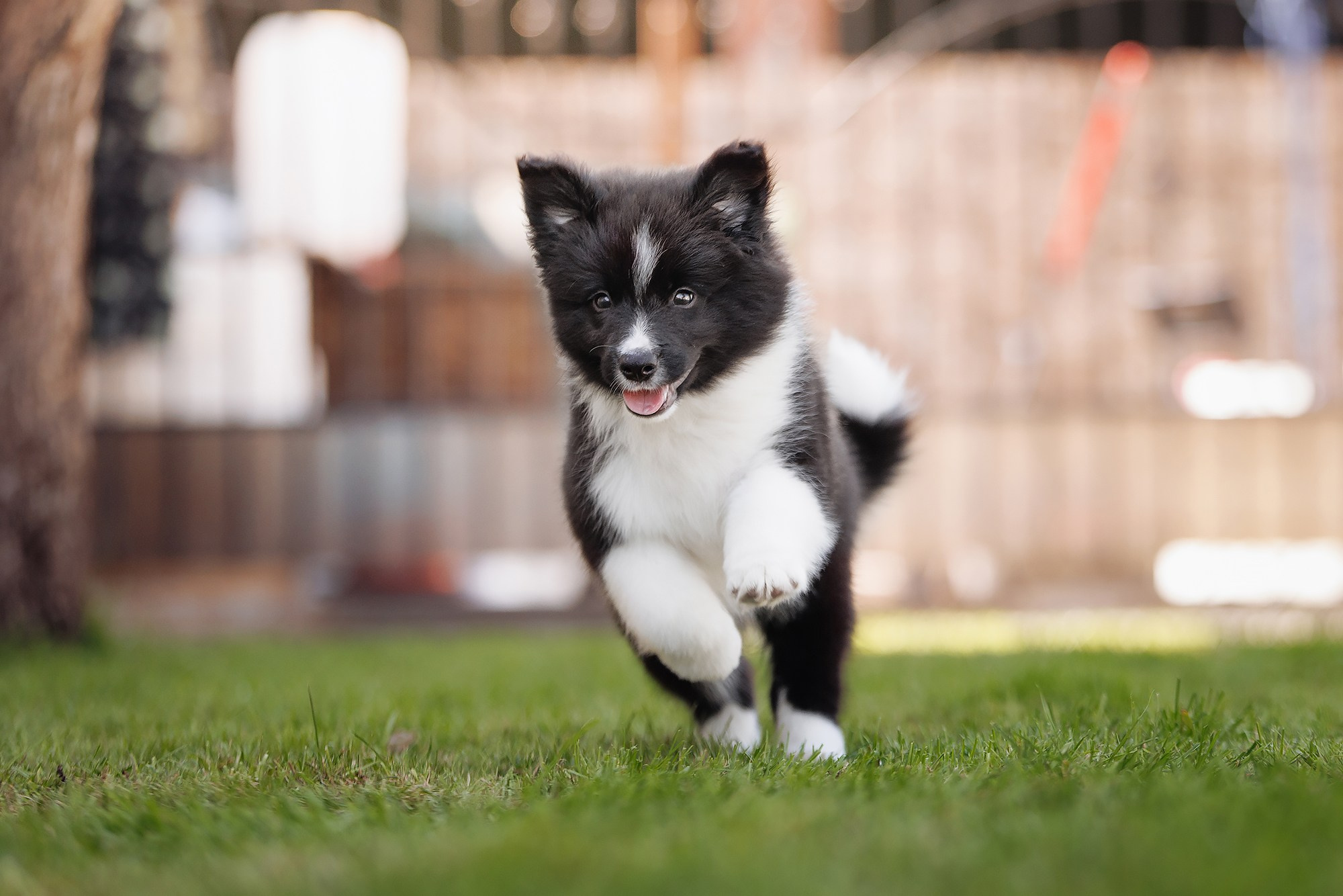 Трава у дома. О нас