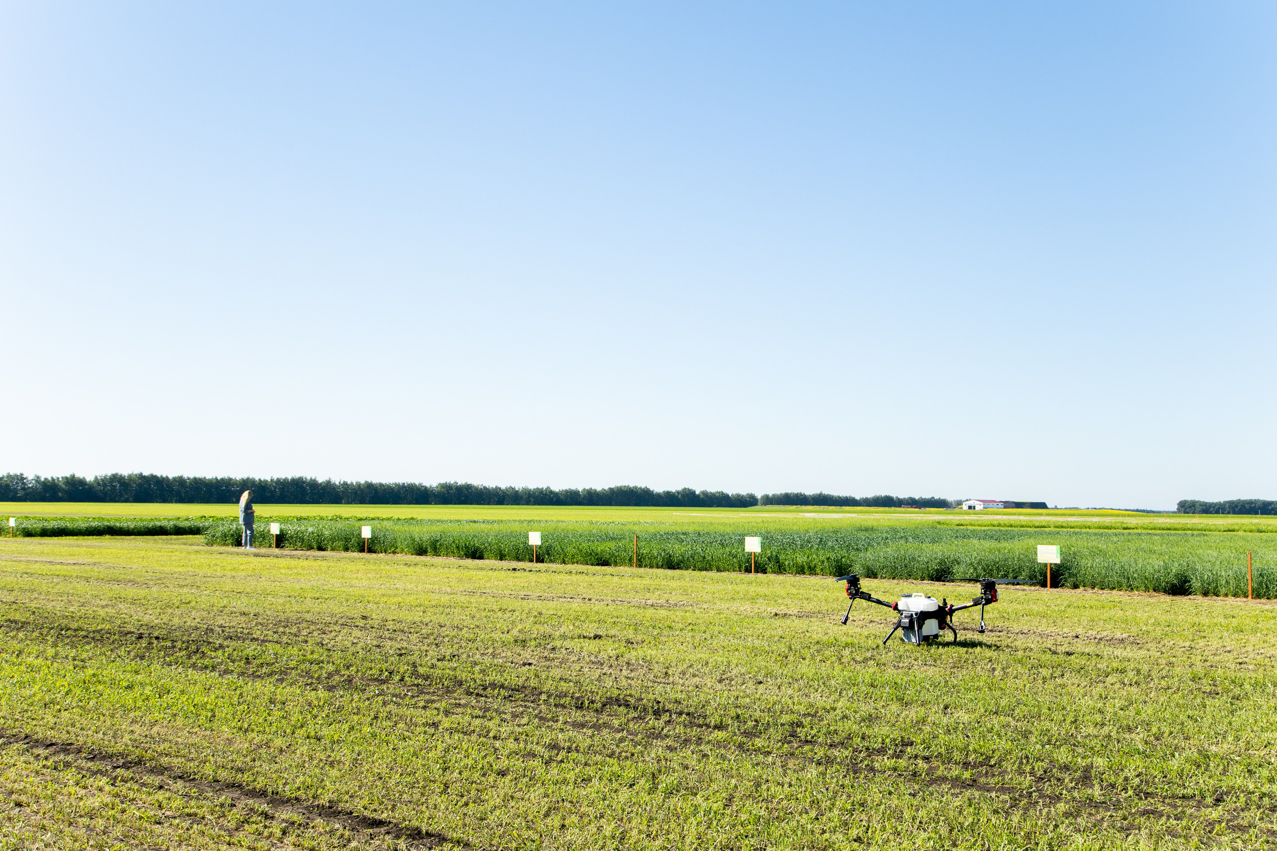 День Поля 2022. Владислав Волков | Фотография и видеосъемка в Воронеже