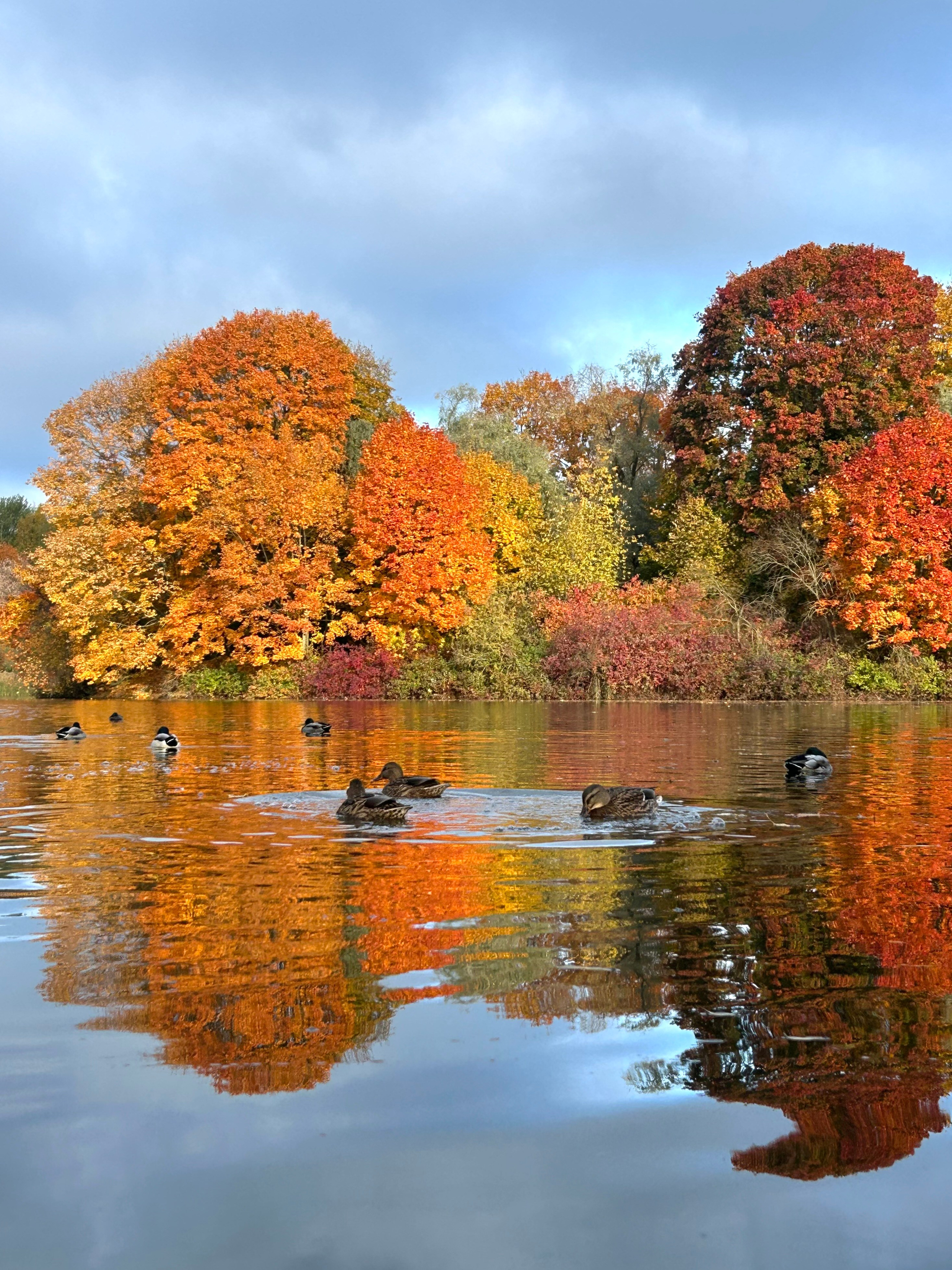 Природа. Фотокружок «Видоискатель» ГБОУ СОШ № 291