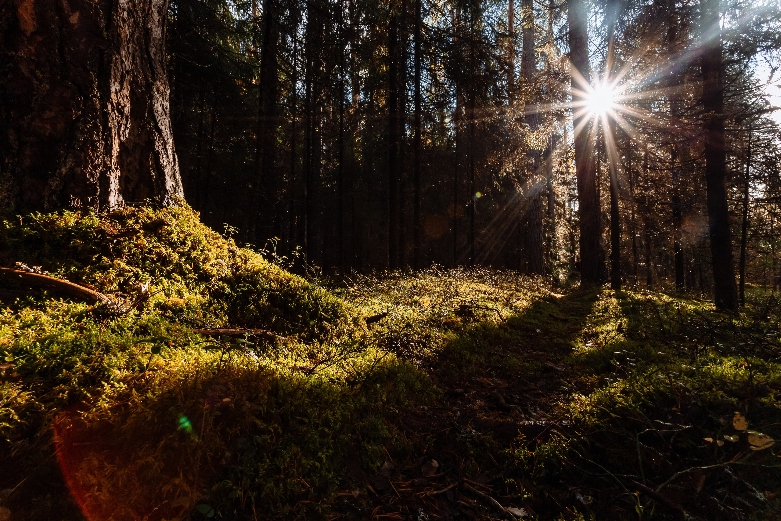 Особо охраняемые природные территории Республики Карелии. Репортажный фотограф в Крыму Ксения Гасица