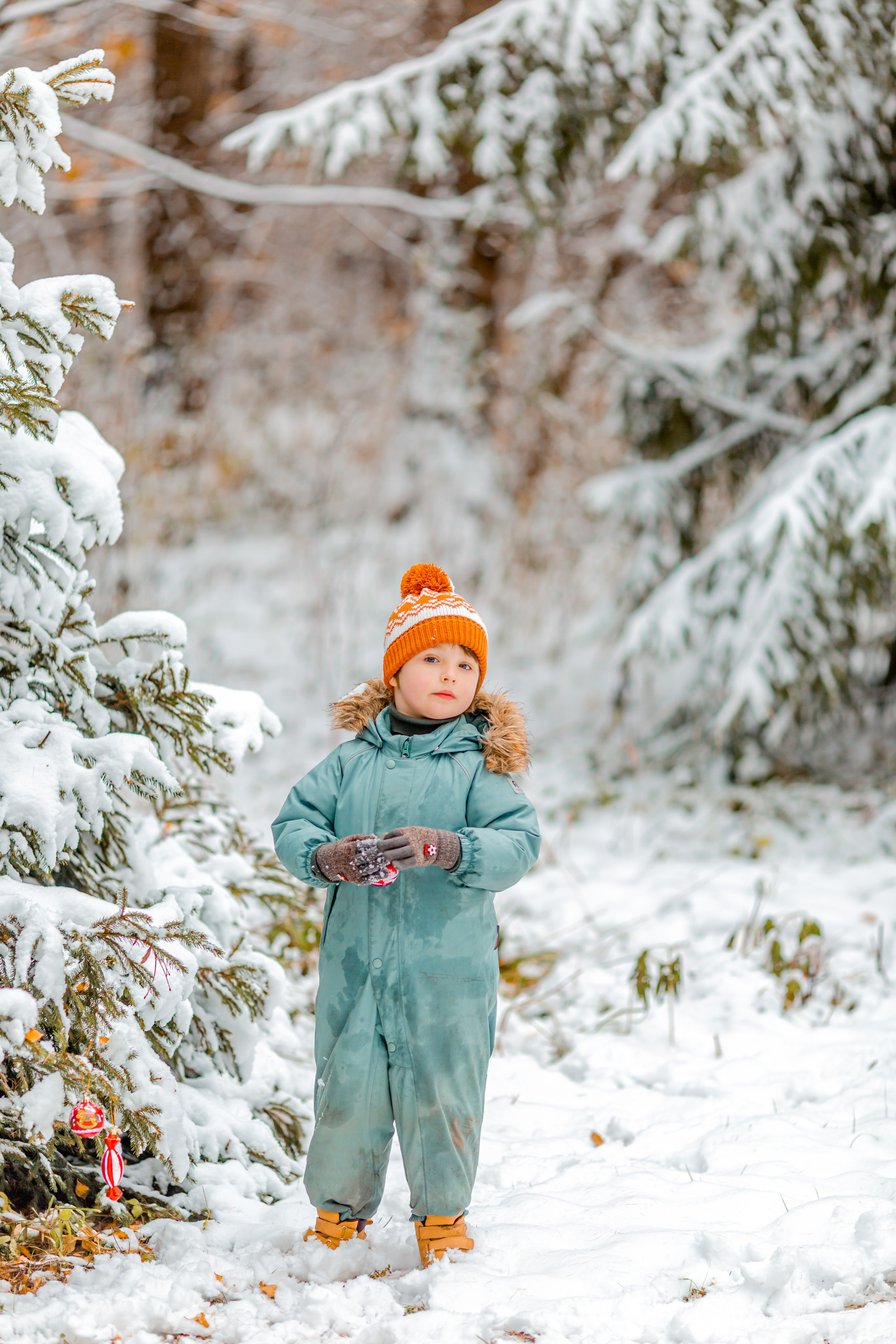 Зимний лес. Семейный и детский фотограф в Москве Алёна Кораблина
