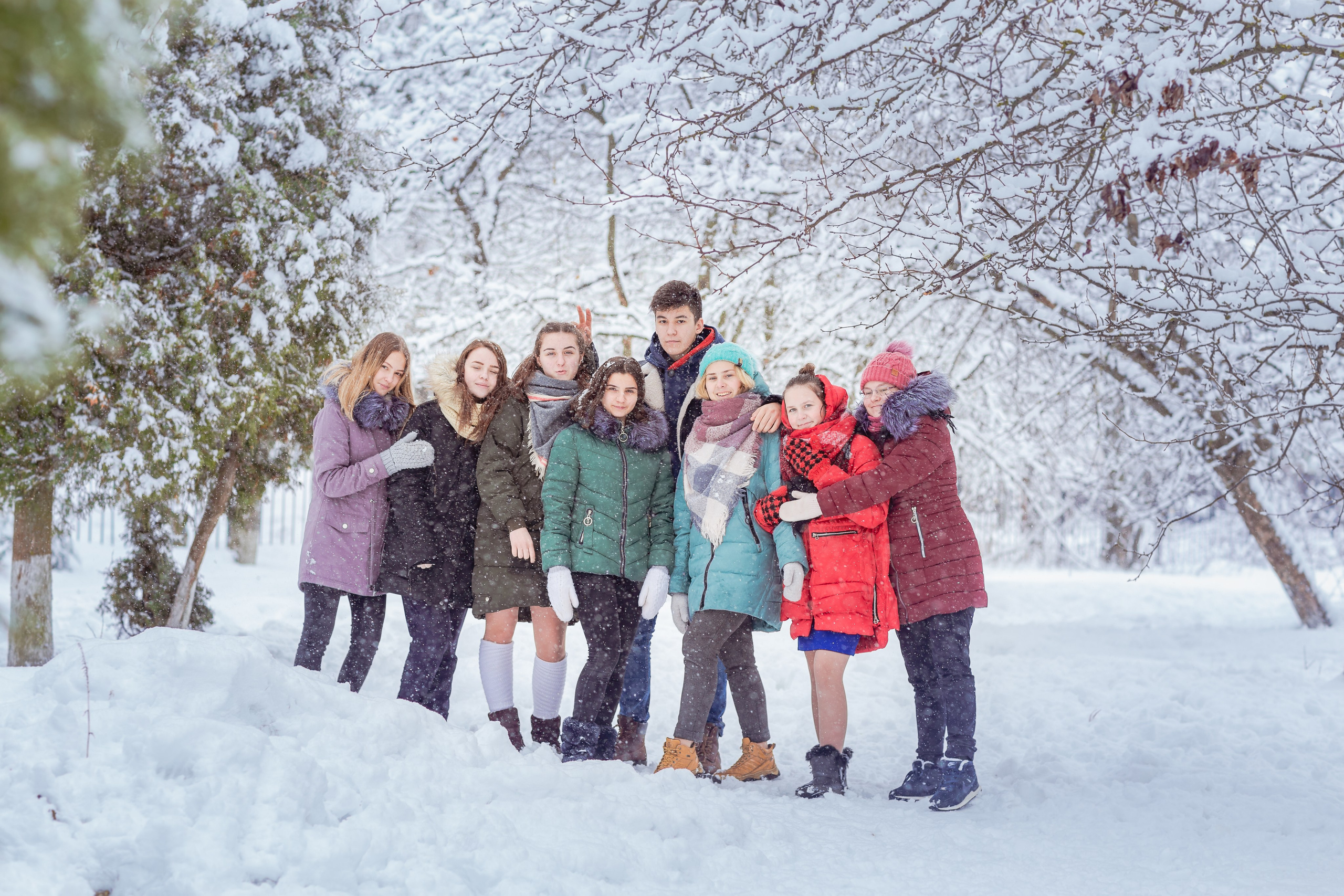 Зимняя прогулка