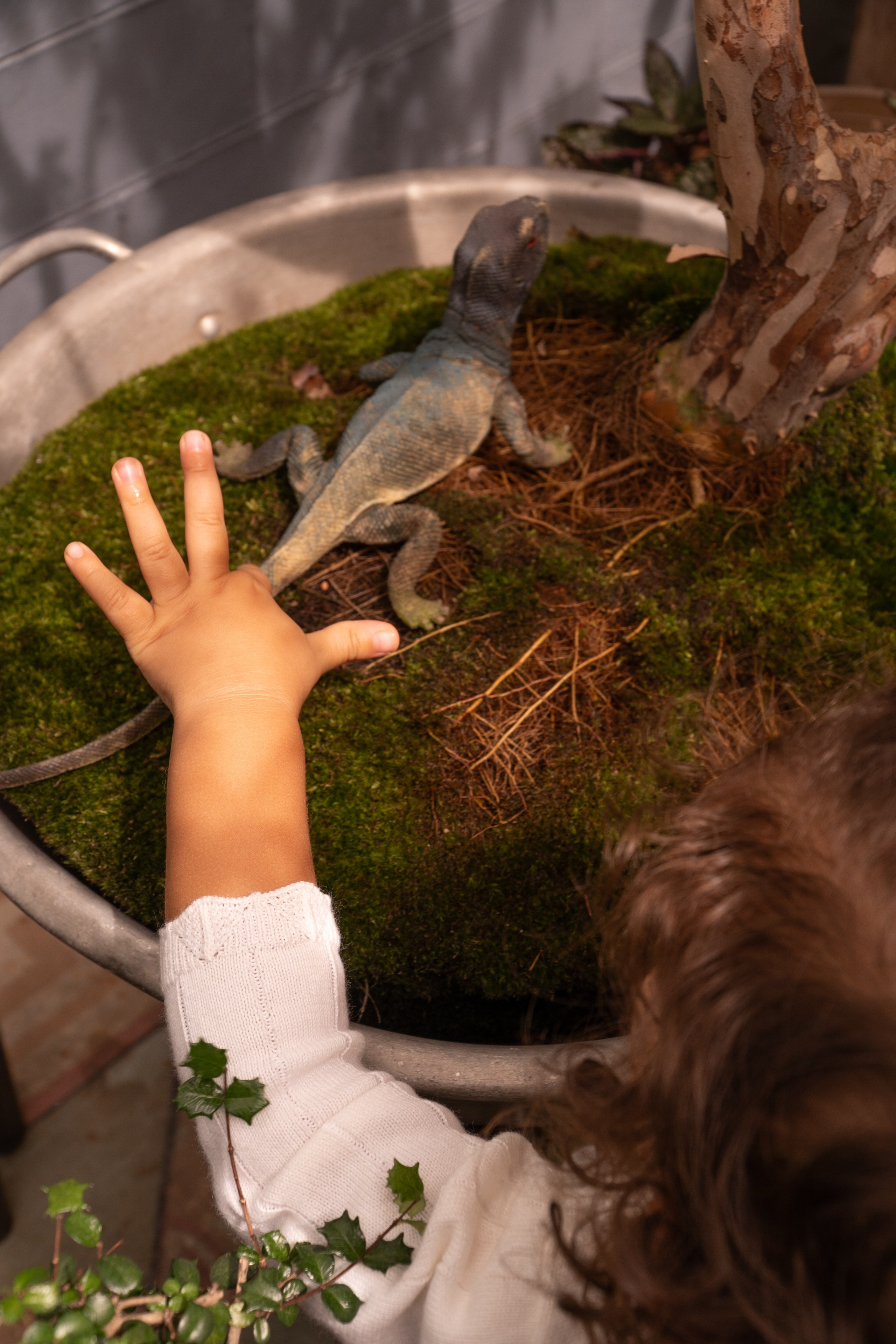 Jaime and Carolyna. Wedding Photographer in Barcelona and Medellin